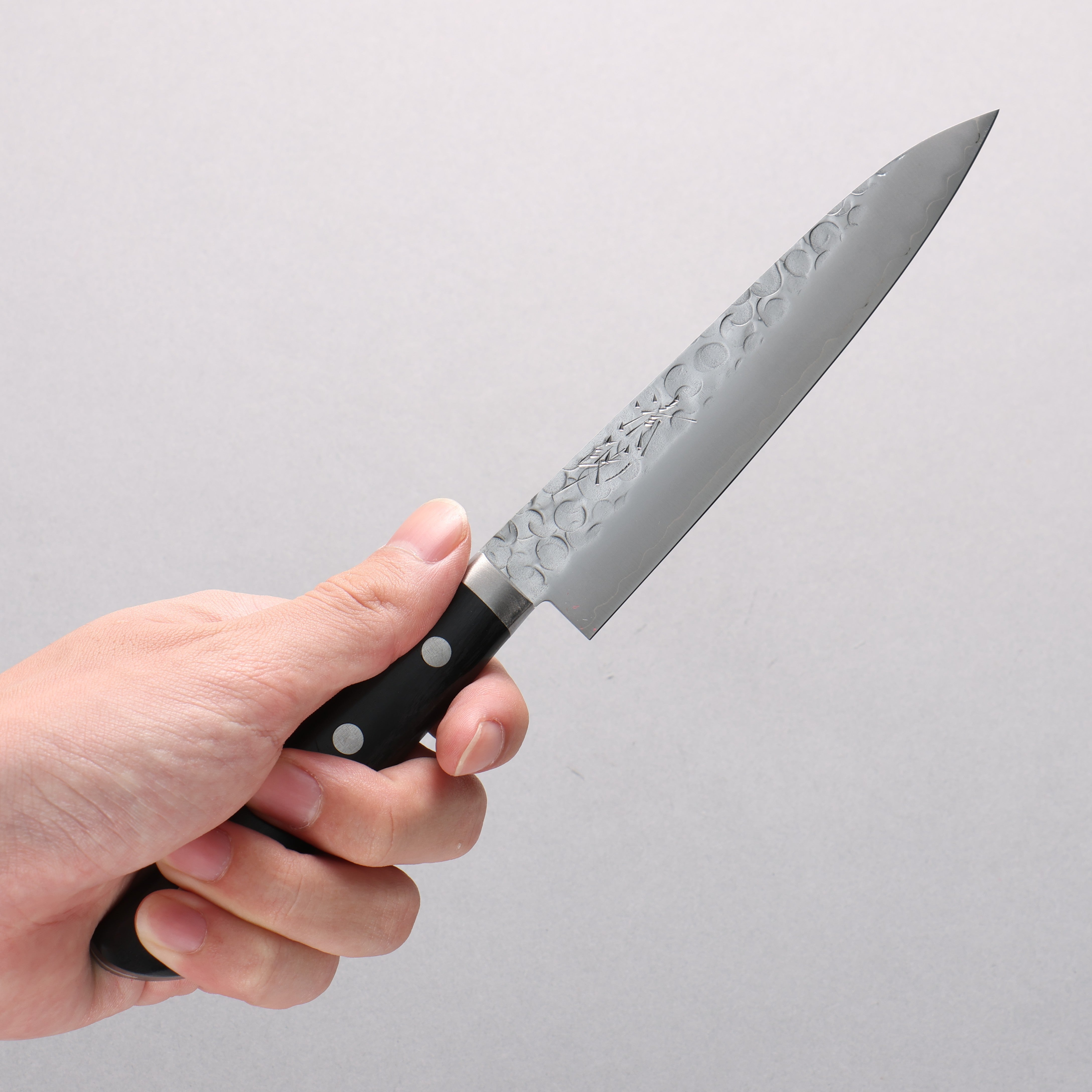 Seisuke VG1 Japanese Santoku & Petty Pakka wood Handle - Japanny - Best Japanese Knife