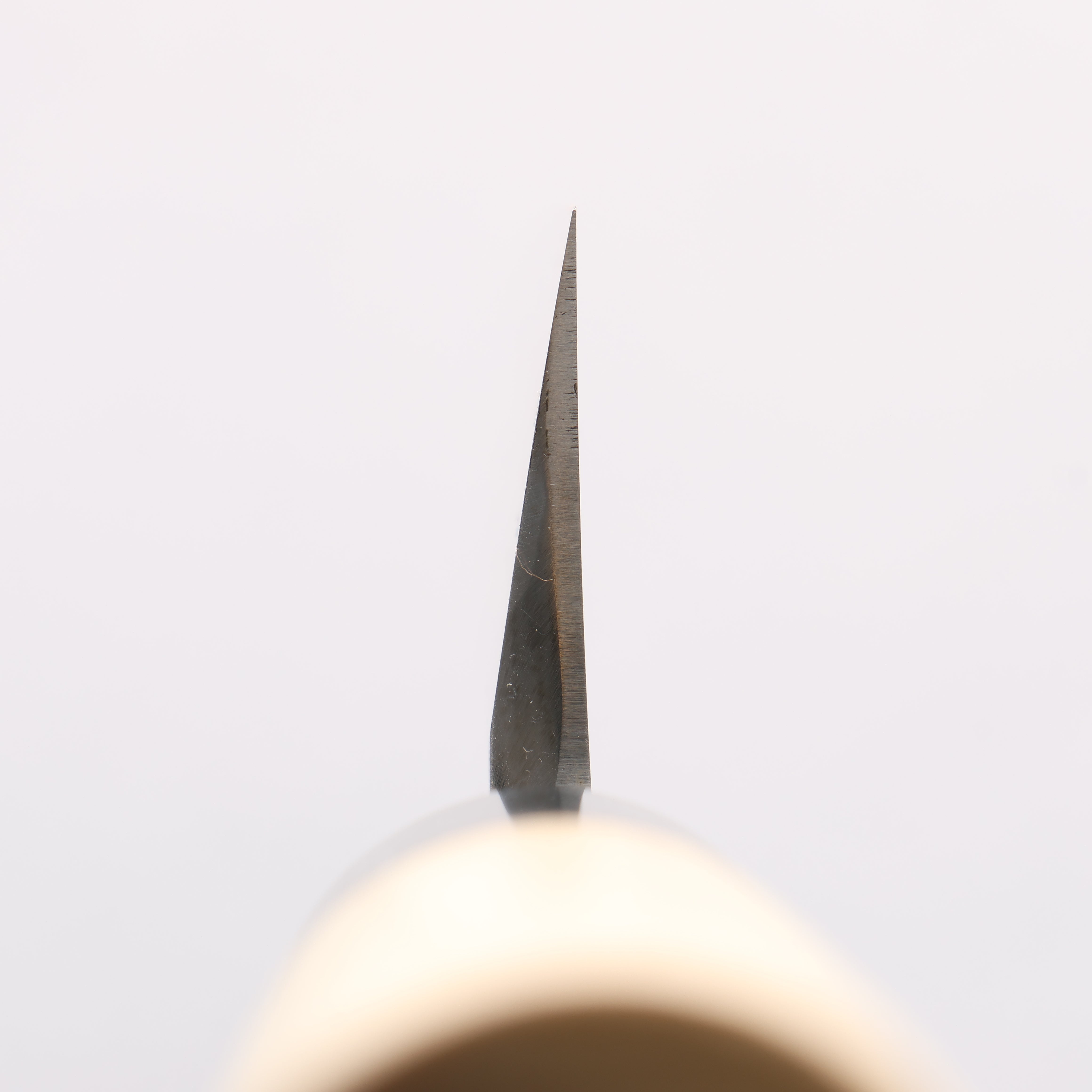 Sakai Takayuki White Steel No.2 Eel Knife 240mm Magnolia Handle - Japanny - Best Japanese Knife