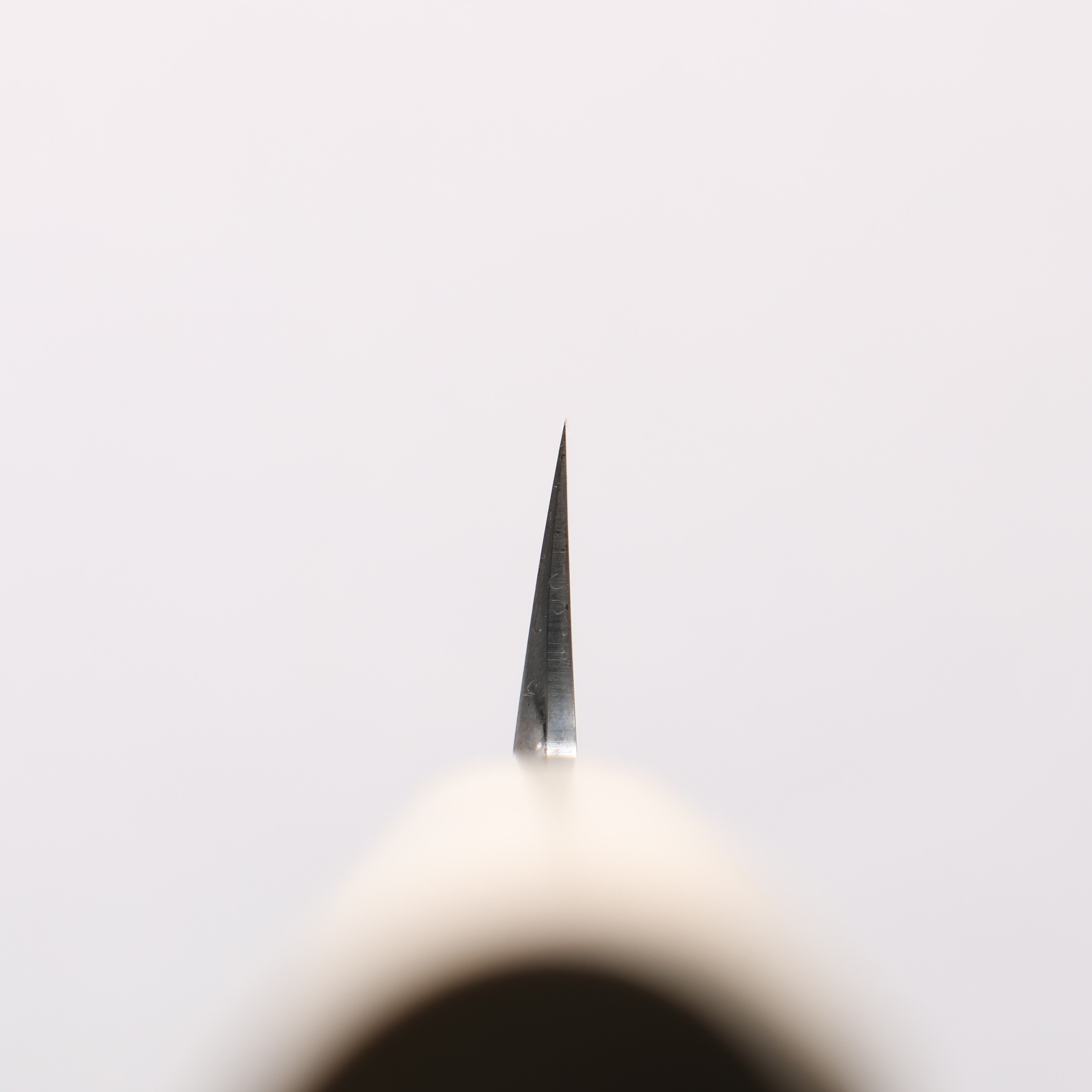 Sakai Takayuki White Steel No.2 Mirrored Finish Fuguhiki - Japanny - Best Japanese Knife