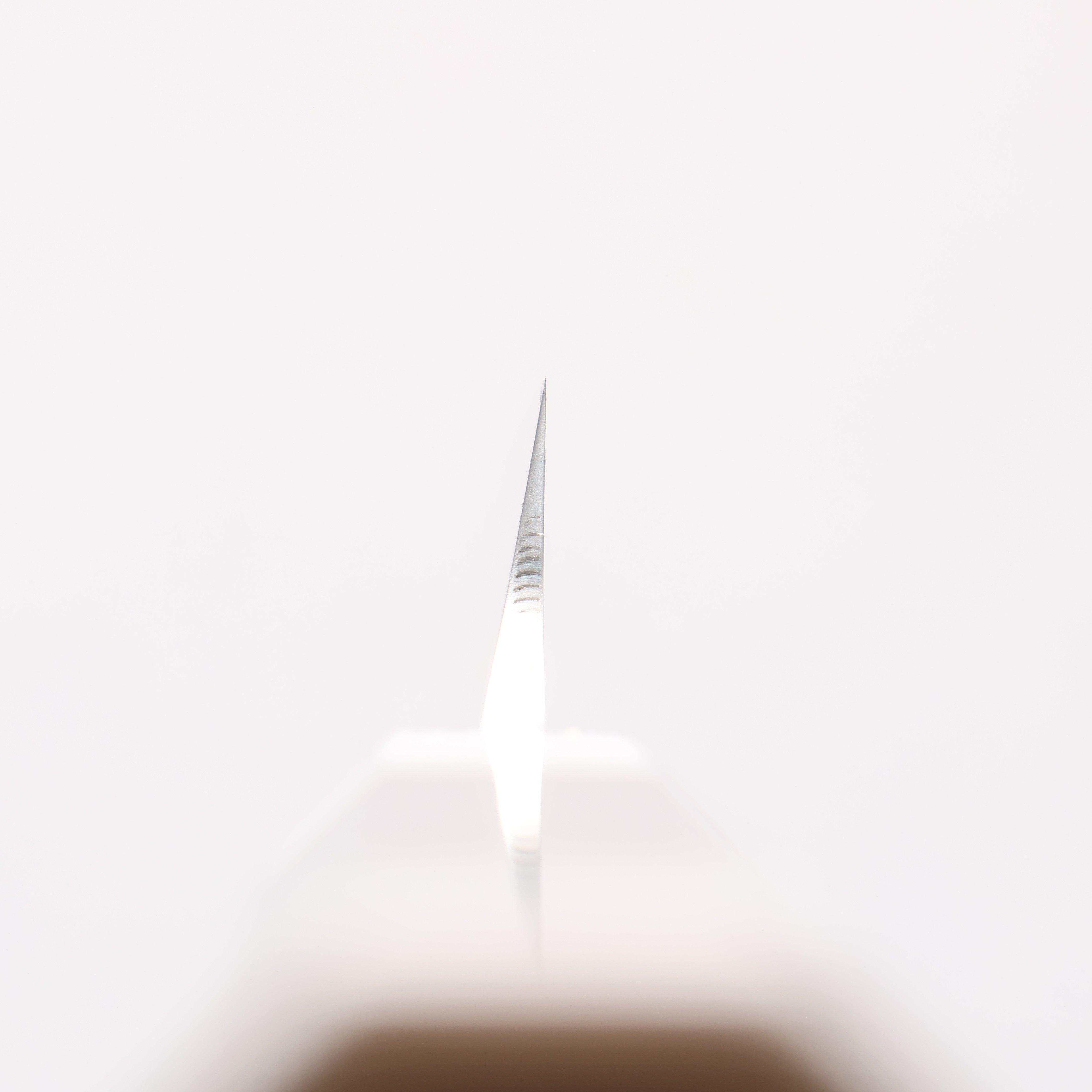 Sakai Takayuki Ginryu Honyaki Swedish Steel Mirrored Finish Kengata Yanagiba 270mm Ebony Wood Handle with Sheath - Japanny - Best Japanese Knife