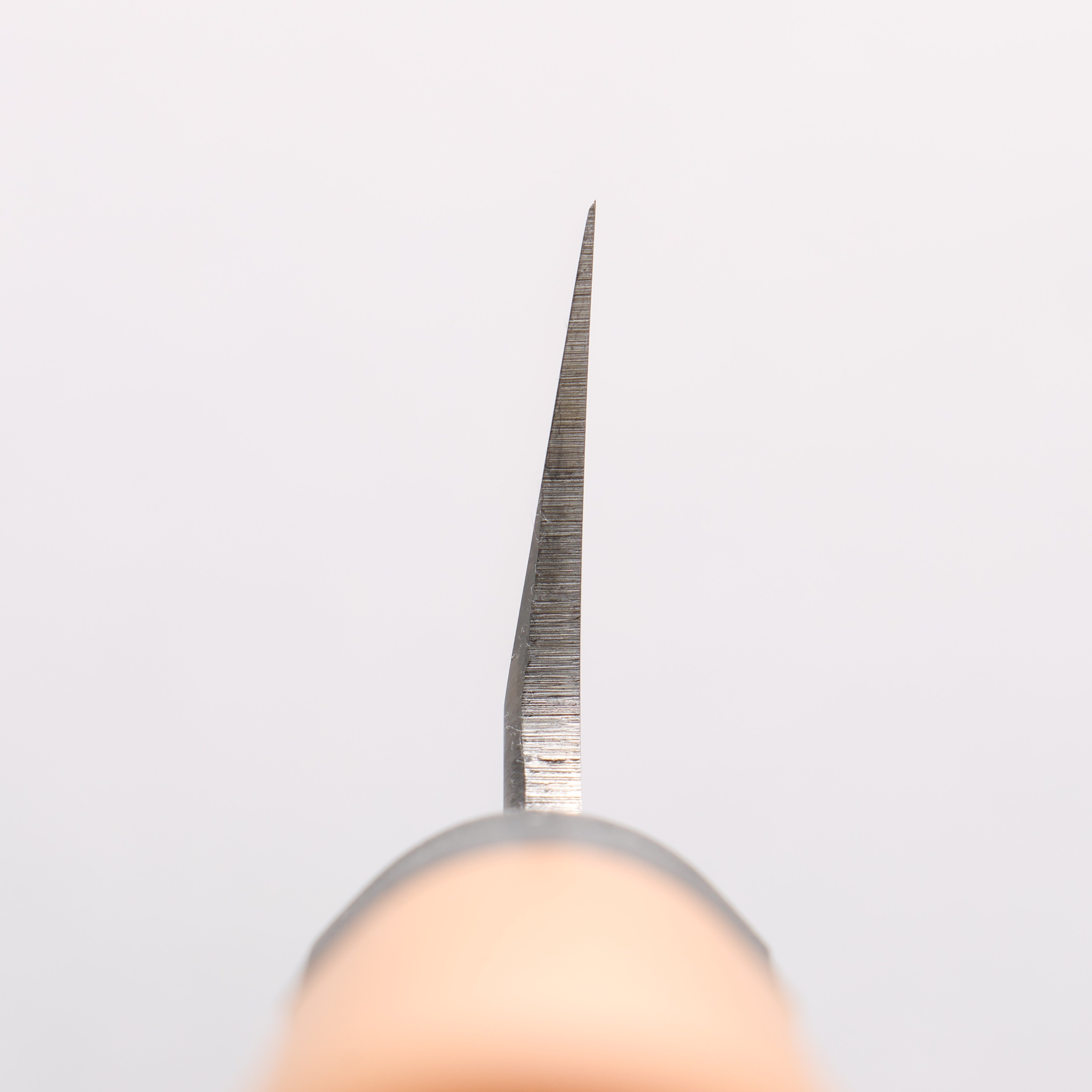 Sakai Takayuki Molybdenum Usuba PC(Plastic) Handle - Japanny - Best Japanese Knife