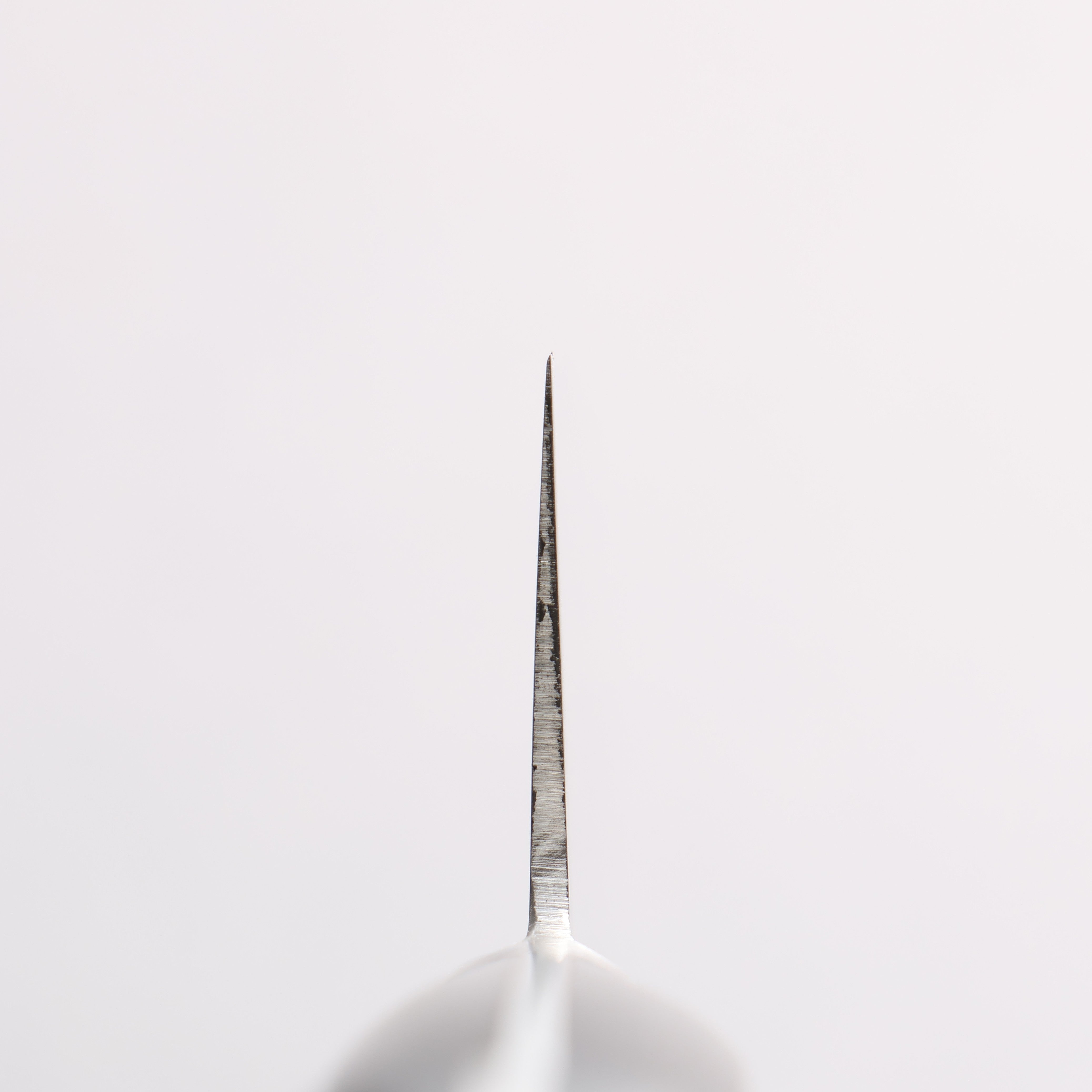 Seisuke Stainless Steel Gyuto 210mm Black Pakka wood Handle - Japanny - Best Japanese Knife