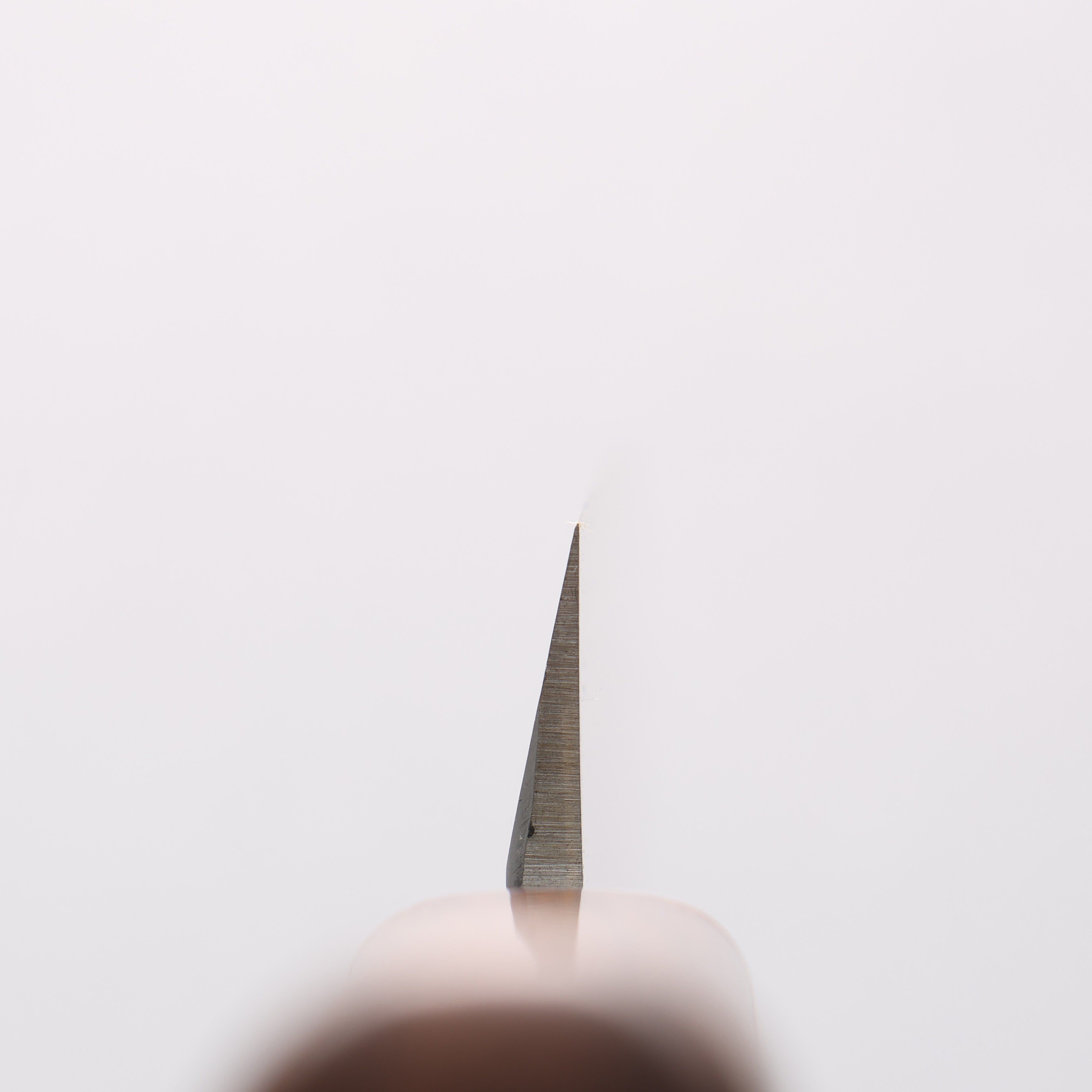 Sakai Takayuki INOX Molybdenum Yanagiba Desert Ironwood(Sugihara model) Handle - Japanny - Best Japanese Knife