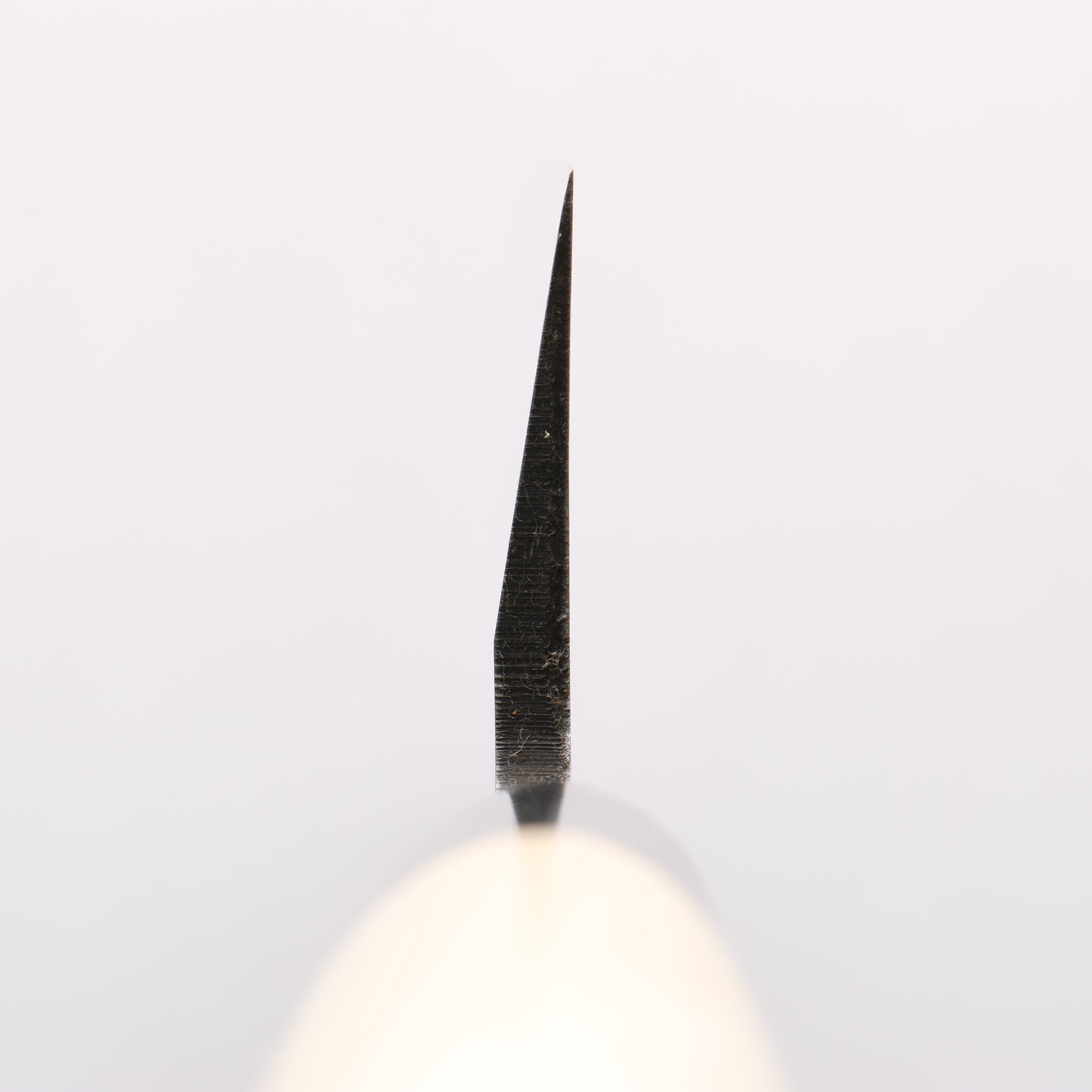 Sakai Takayuki Kasumitogi White Steel Hamokiri 240mm Magnolia Handle - Japanny - Best Japanese Knife