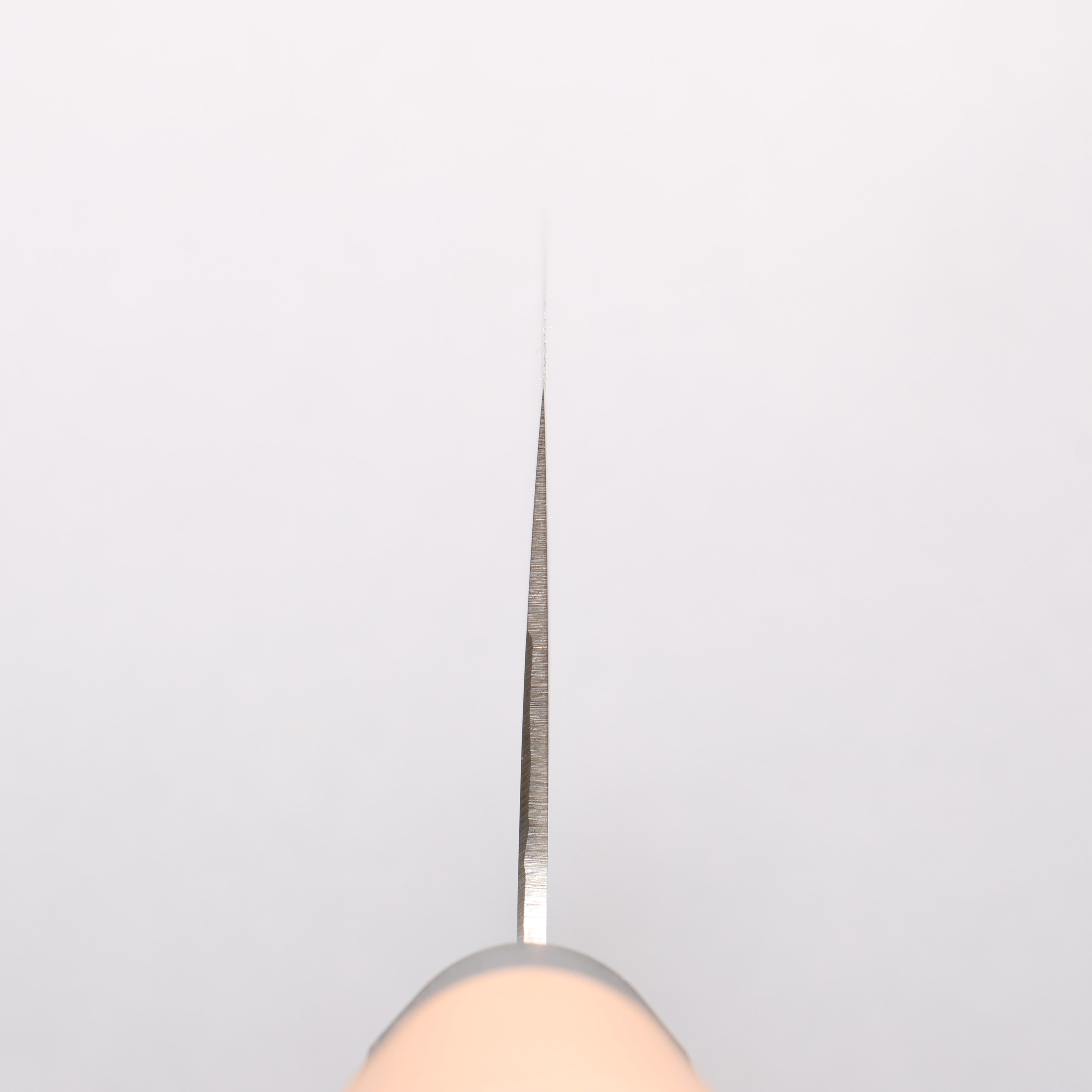 Sakai Takayuki Molybdenum Sushi Roll 240mm PC(Plastic) Handle - Japanny - Best Japanese Knife