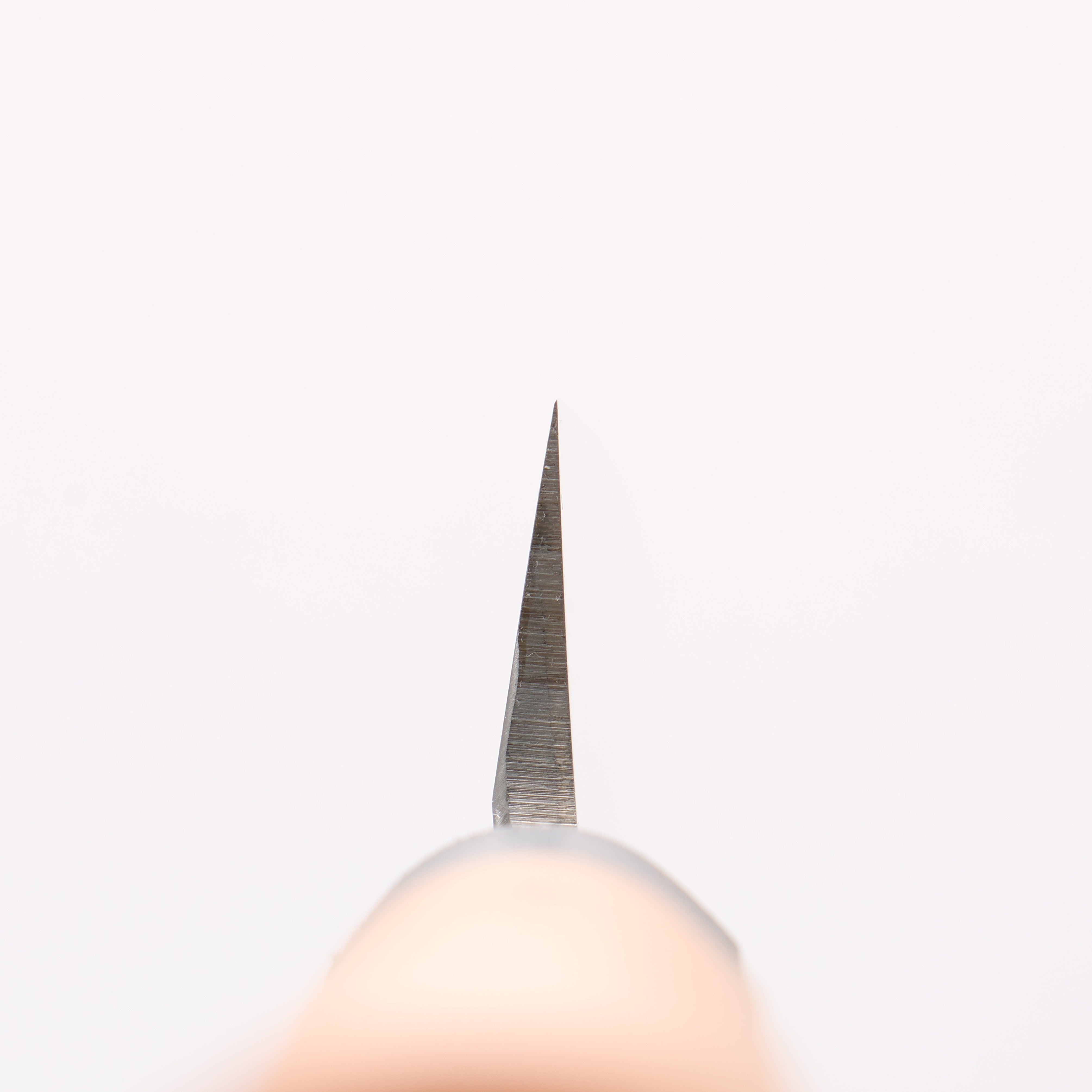 Sakai Takayuki Molybdenum Yanagiba 300mm PC(Plastic) Handle - Japanny - Best Japanese Knife