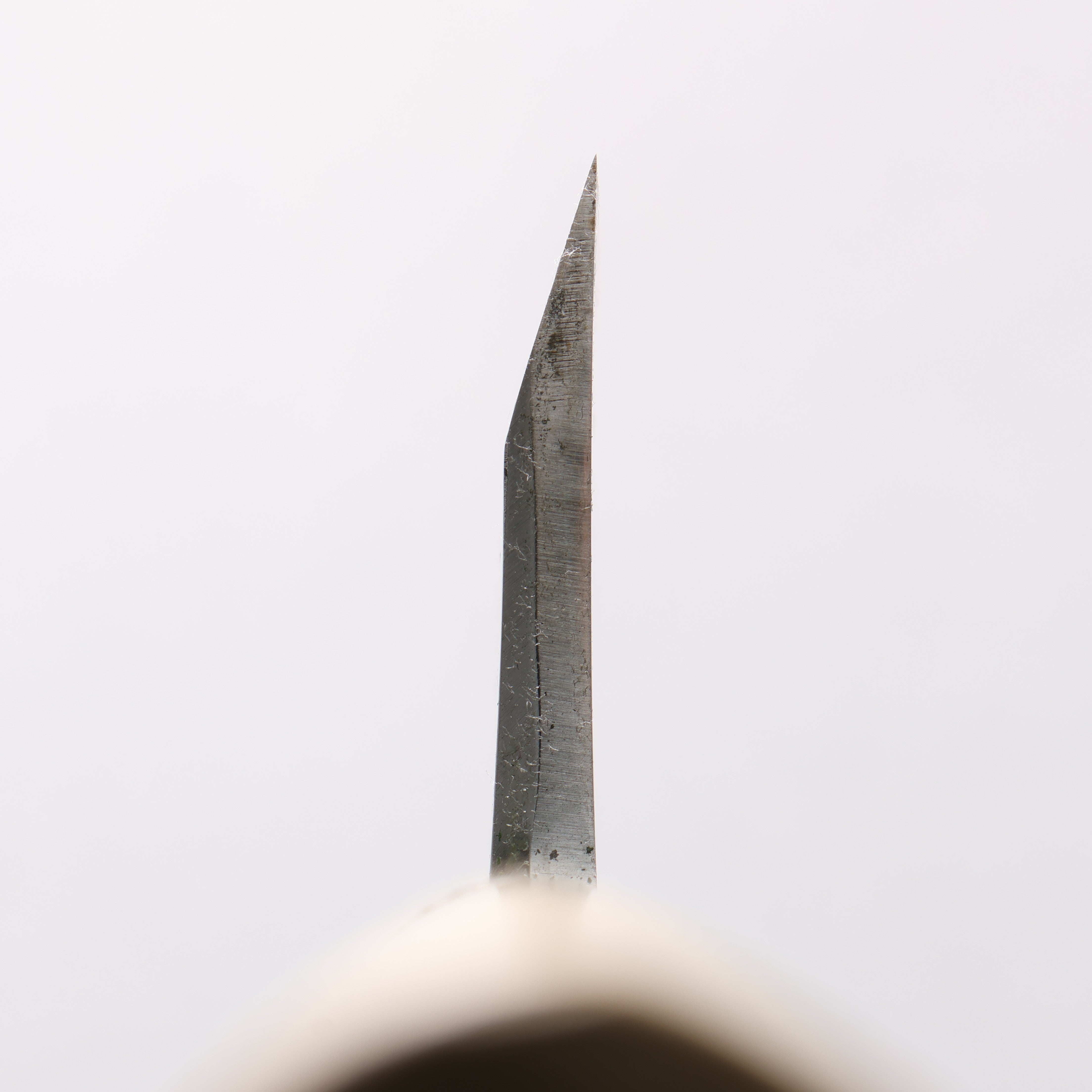 Sakai Takayuki White Steel No.2 Mirrored Finish Deba - Japanny - Best Japanese Knife