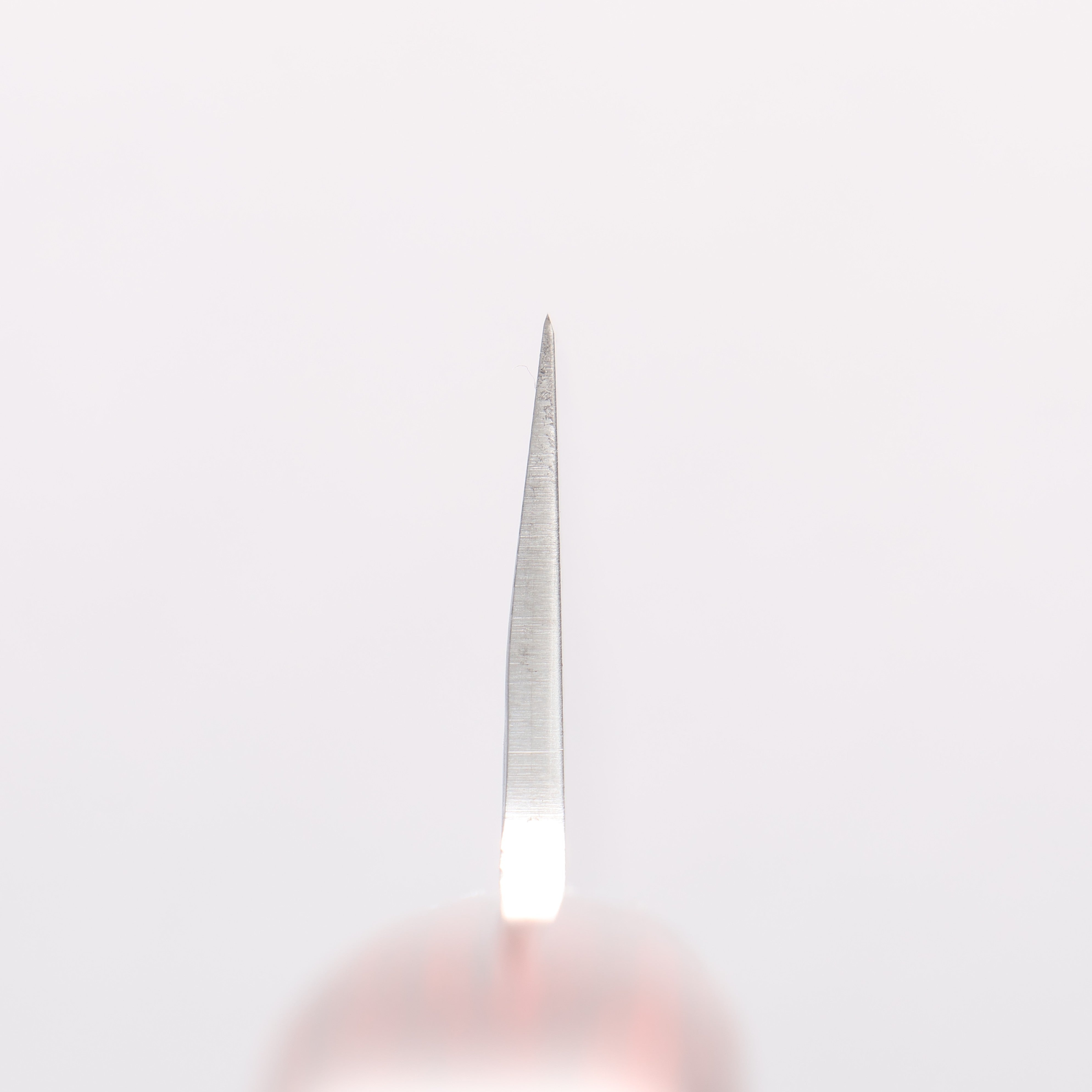 Sakai Takayuki VG10 33 Layer Damascus Sabaki 150mm Mahogany Pakka wood Handle - Japanny - Best Japanese Knife