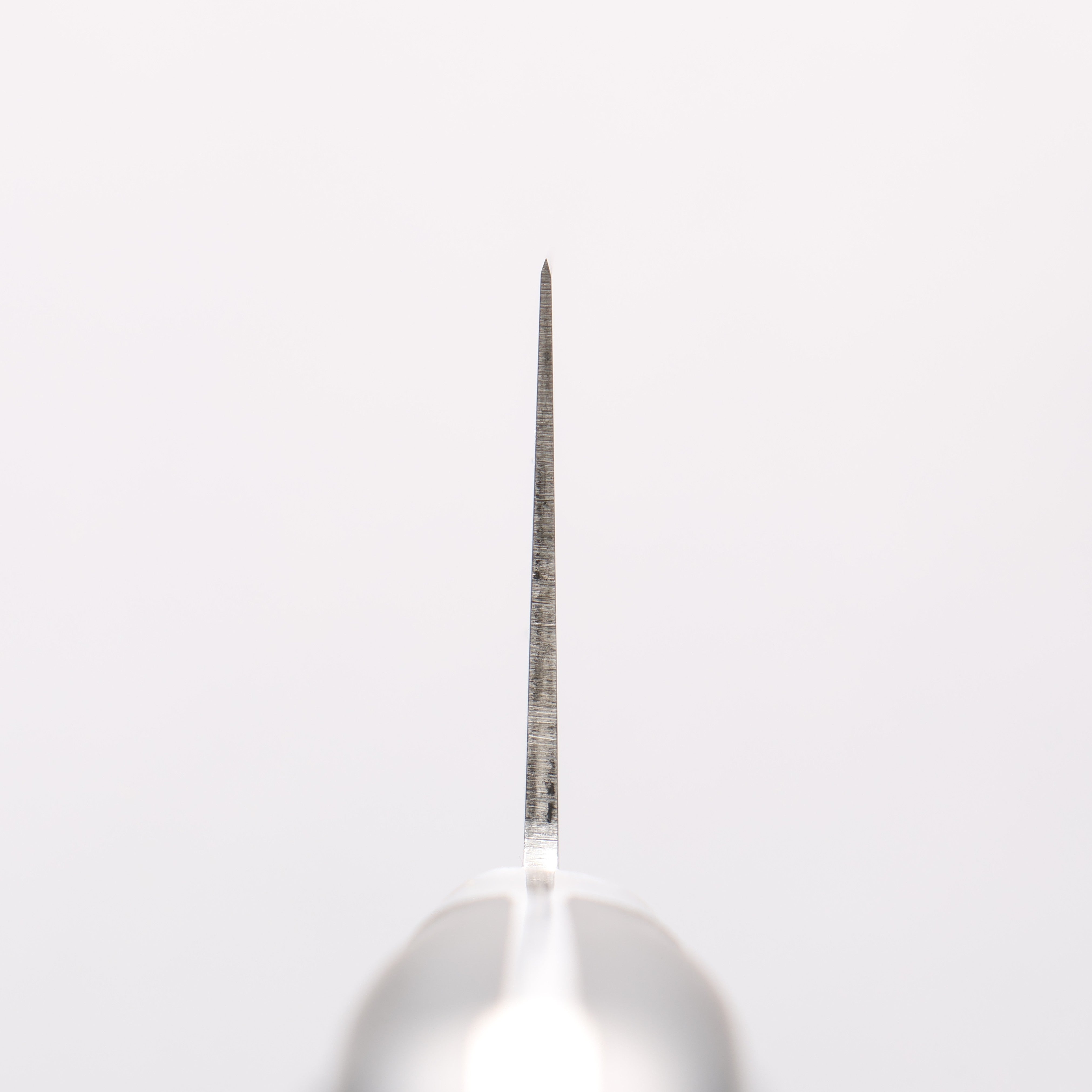 Sakai Takayuki INOX Molybdenum Gyuto 210mm POM Resin Handle - Japanny - Best Japanese Knife