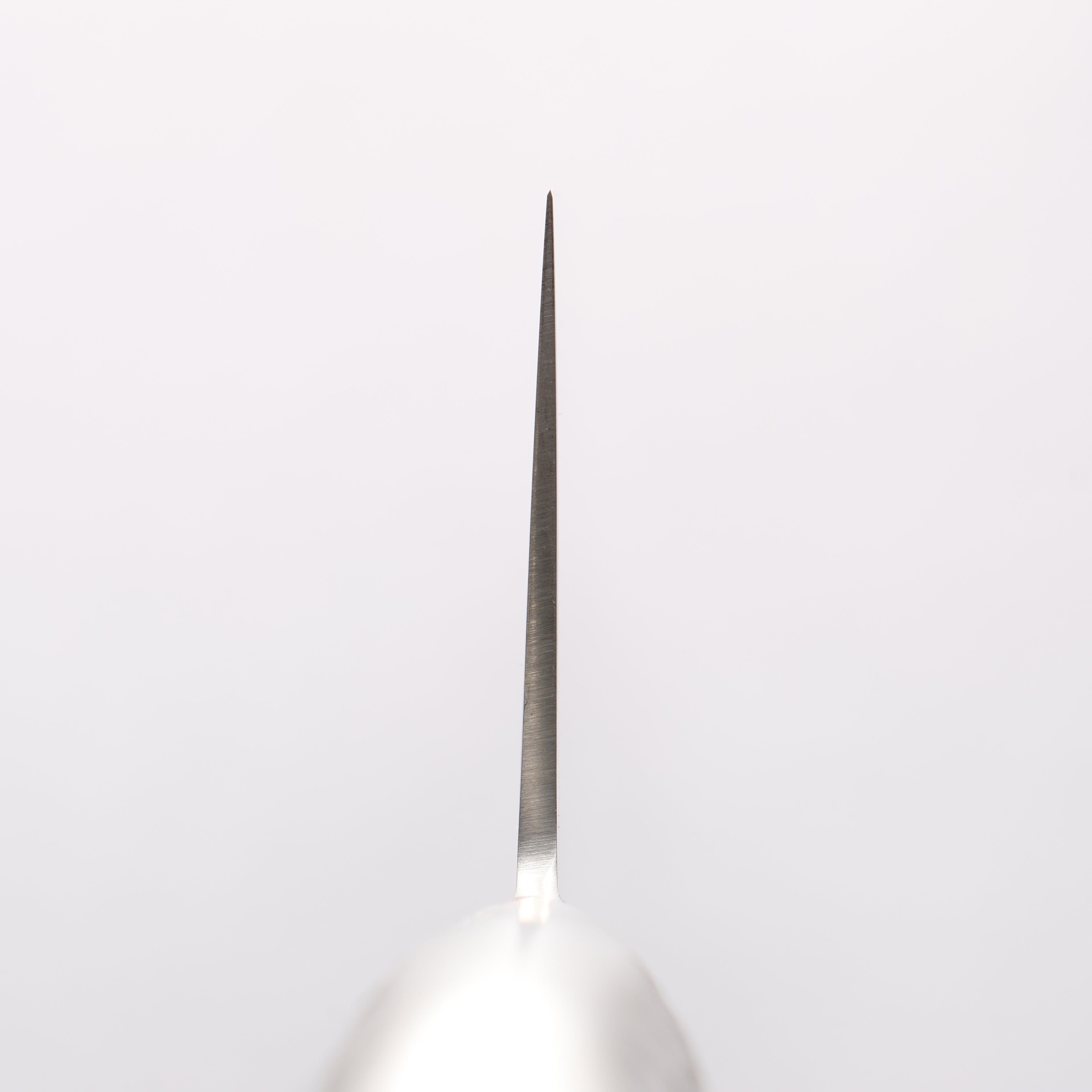 Sakai Takayuki INOX PRO Molybdenum Gyuto 270mm - Japanny - Best Japanese Knife