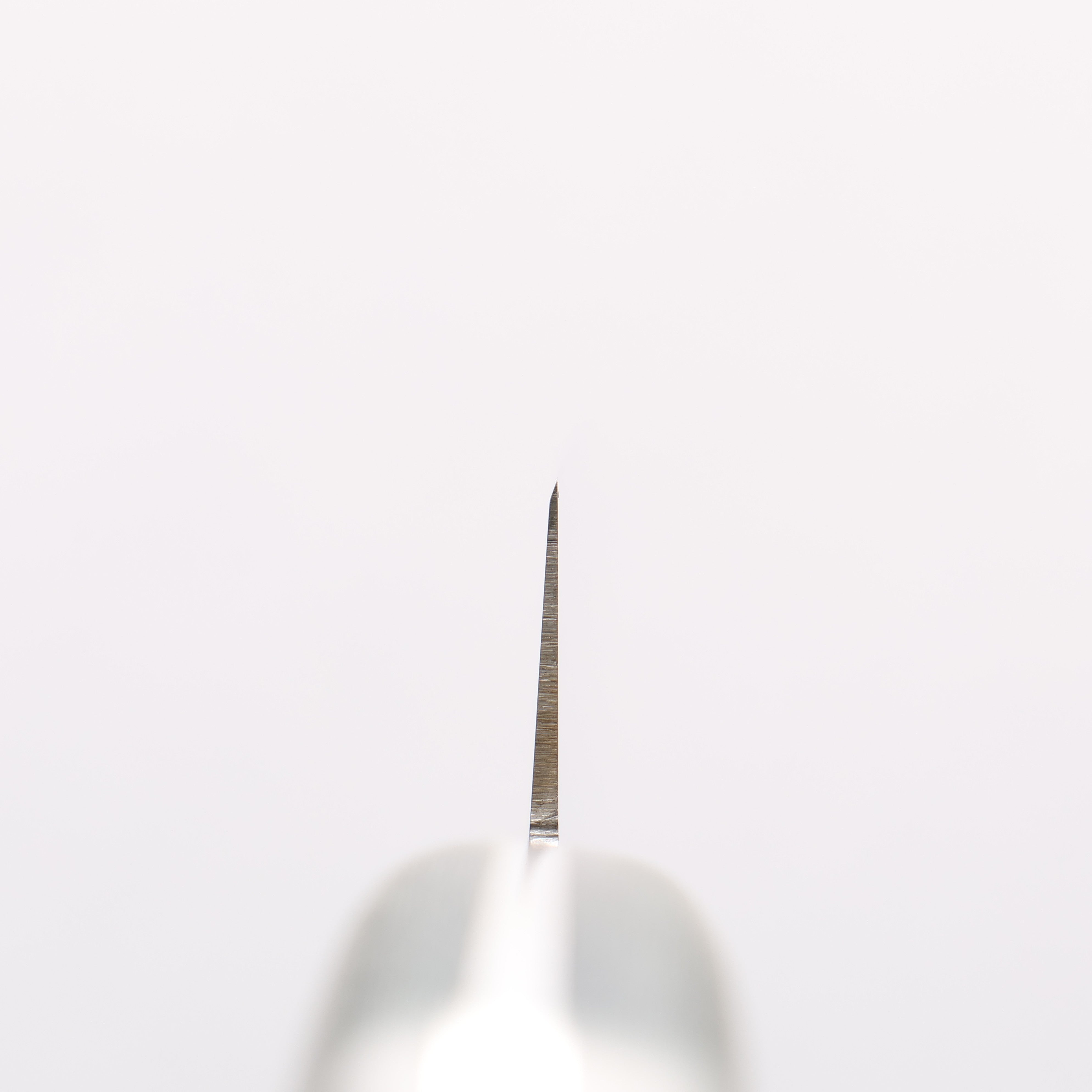 Sakai Takayuki Grand Chef Grand Chef Swedish Steel-stn Sujihiki 240mm Green Micarta Handle - Japanny - Best Japanese Knife