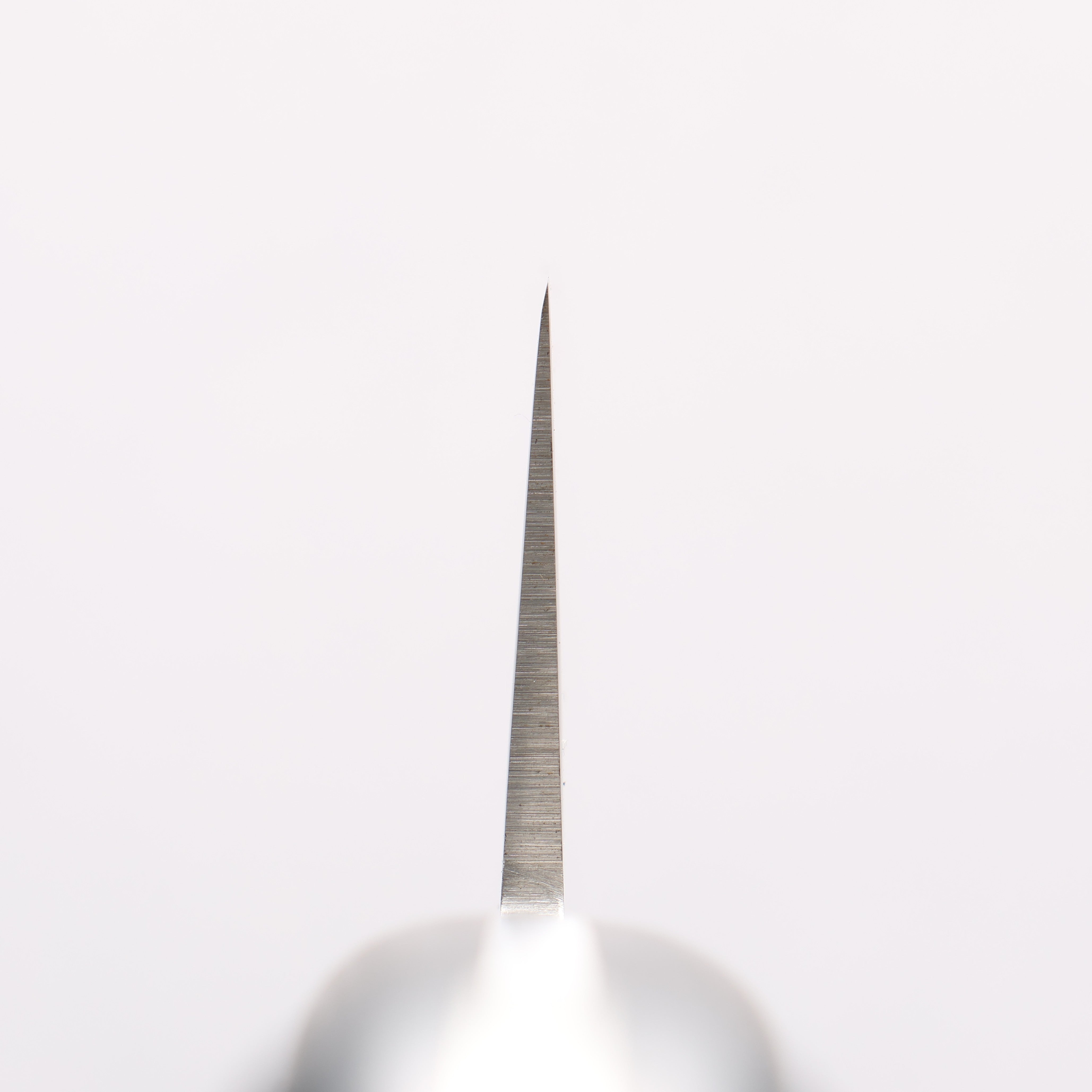 Sakai Takayuki Grand Chef Swedish Steel-stn Gyuto 240mm - Japanny - Best Japanese Knife