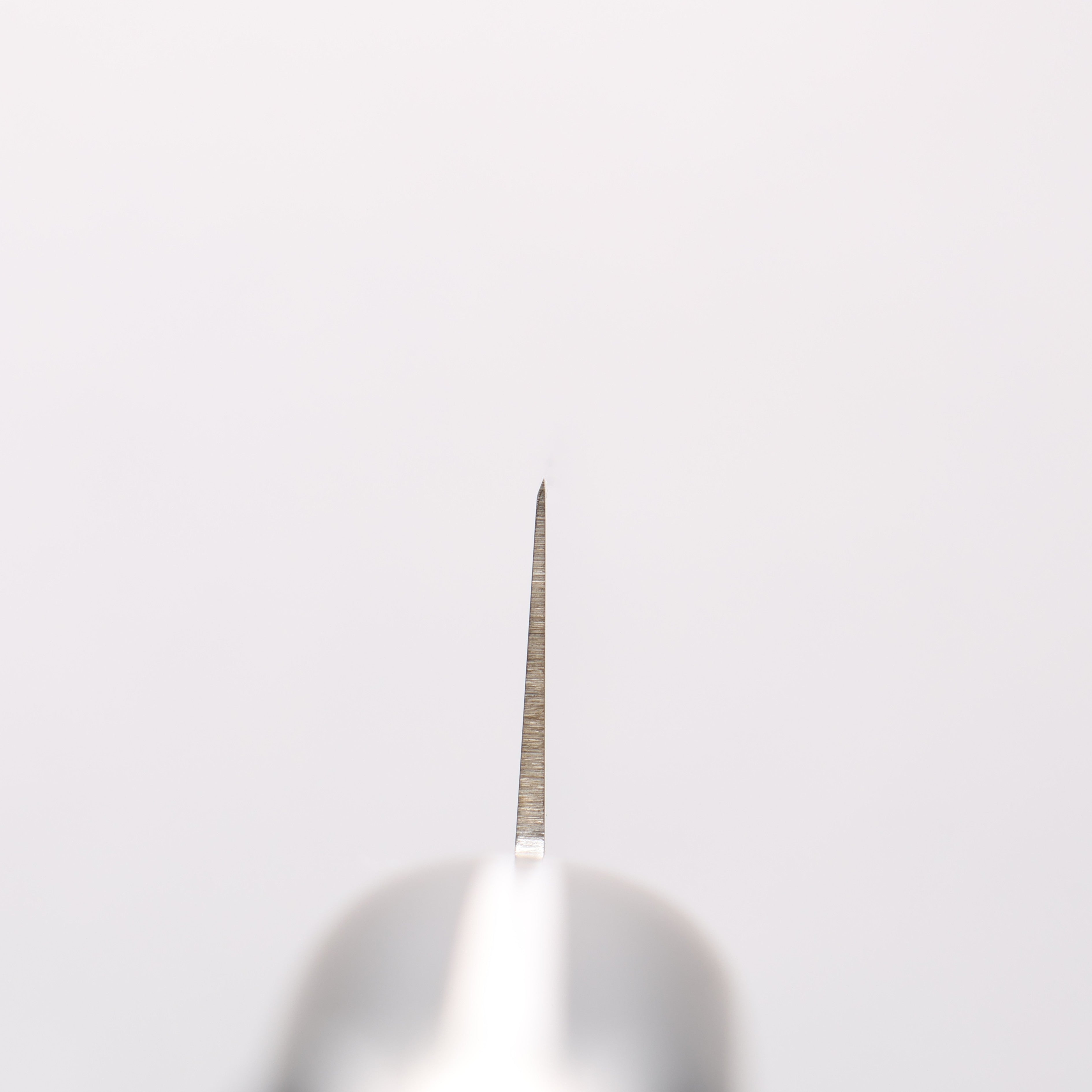 Sakai Takayuki Grand Chef Swedish Steel-stn Sujihiki - Japanny - Best Japanese Knife