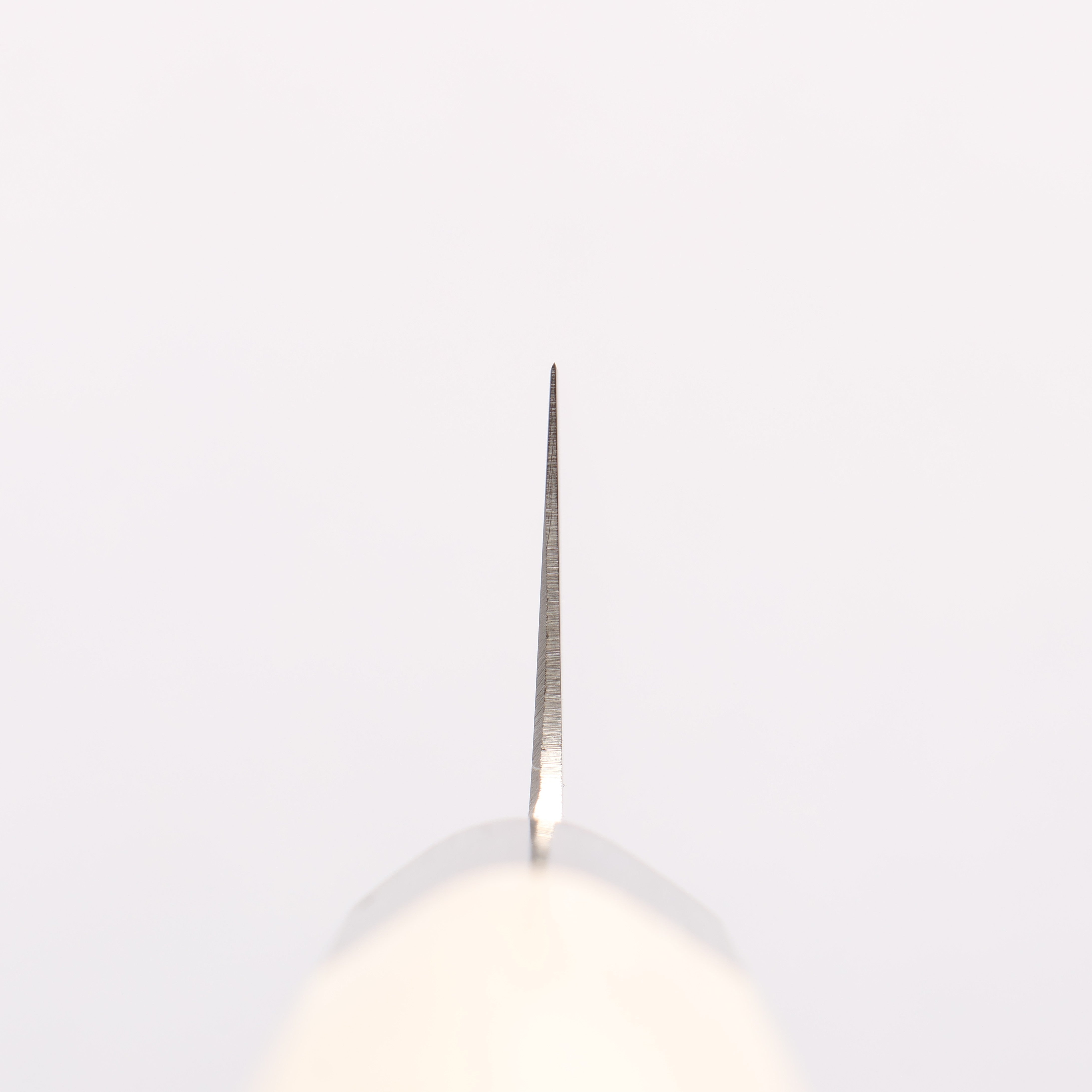 Sakai Takayuki Grand Chef Grand Chef Swedish Steel-stn Sujihiki 240mm Magnolia Handle - Japanny - Best Japanese Knife