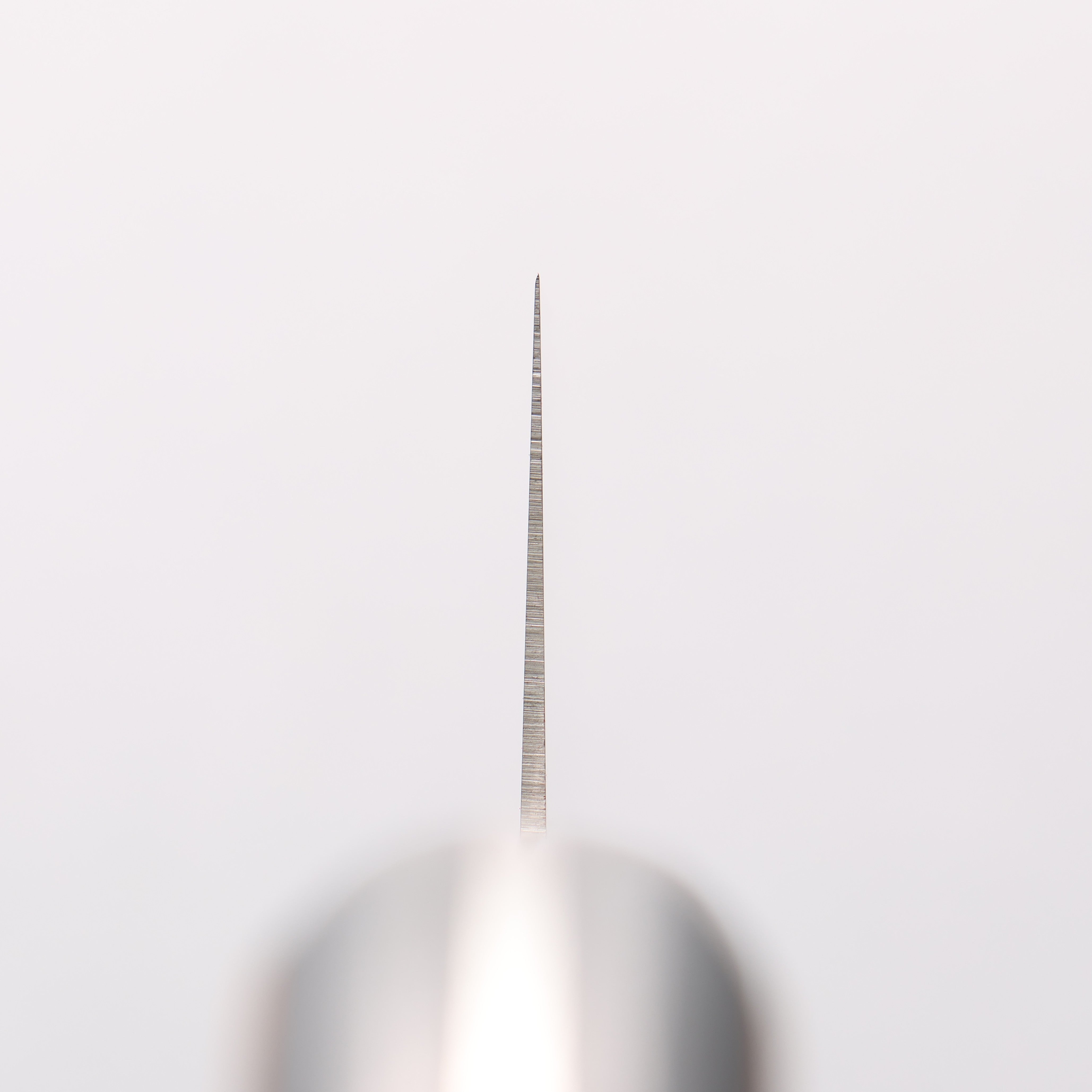 Sakai Takayuki TUS Stainless Steel Gyuto - Japanny - Best Japanese Knife