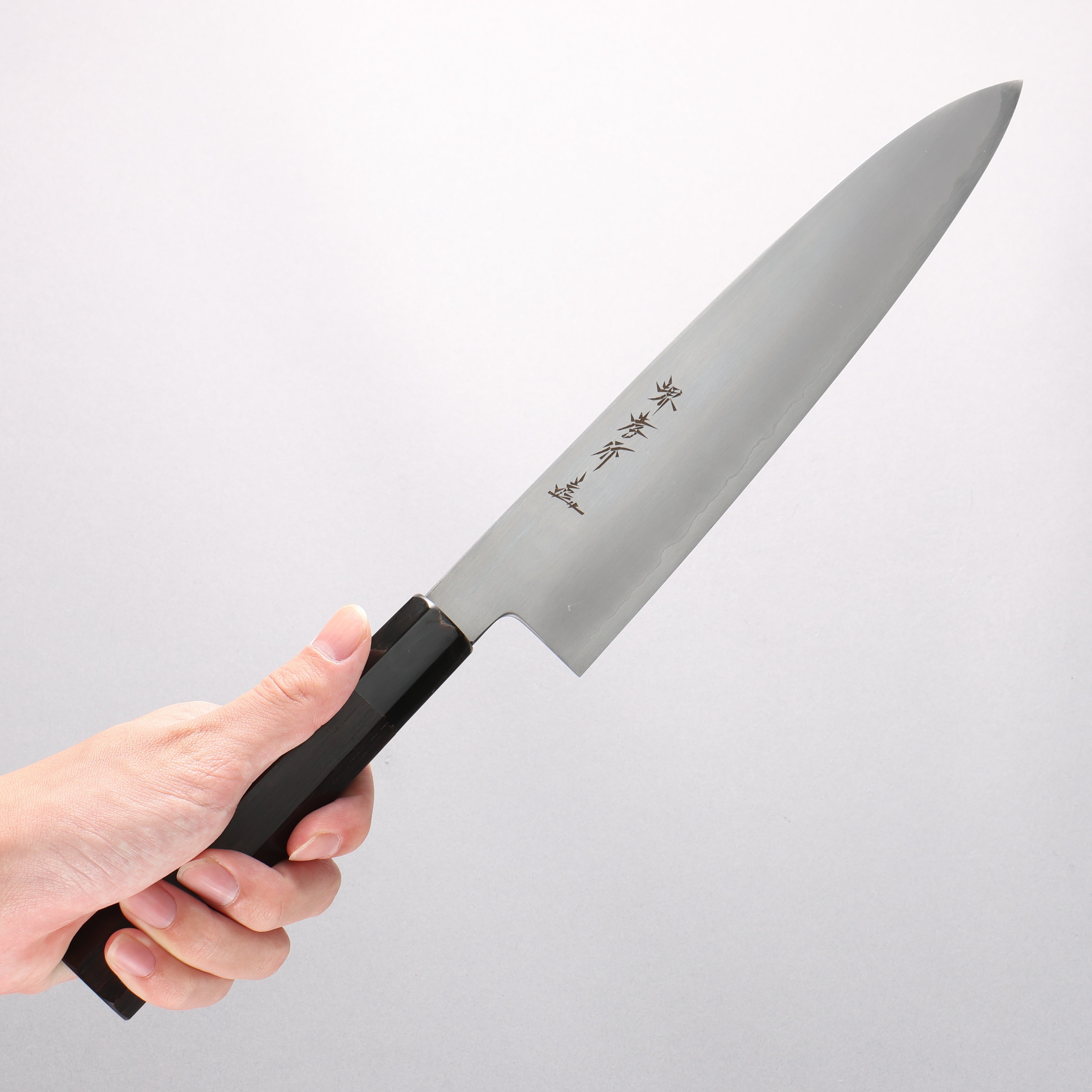 Sakai Takayuki Silver Steel No.3 Gyuto - Japanny - Best Japanese Knife