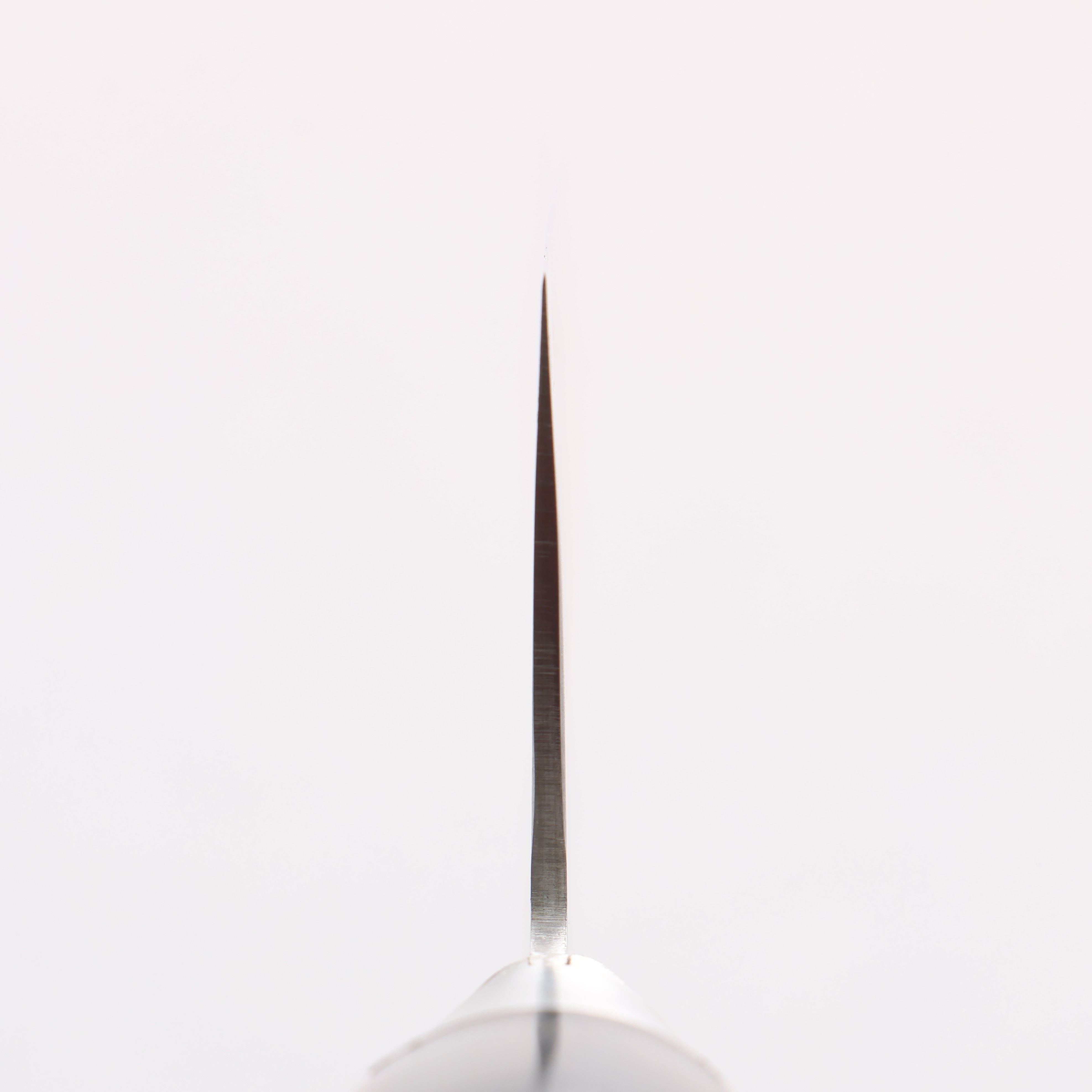 Seisuke Swedish Steel (Sandvik) Santoku 180mm Black Pakka wood Handle - Japanny - Best Japanese Knife