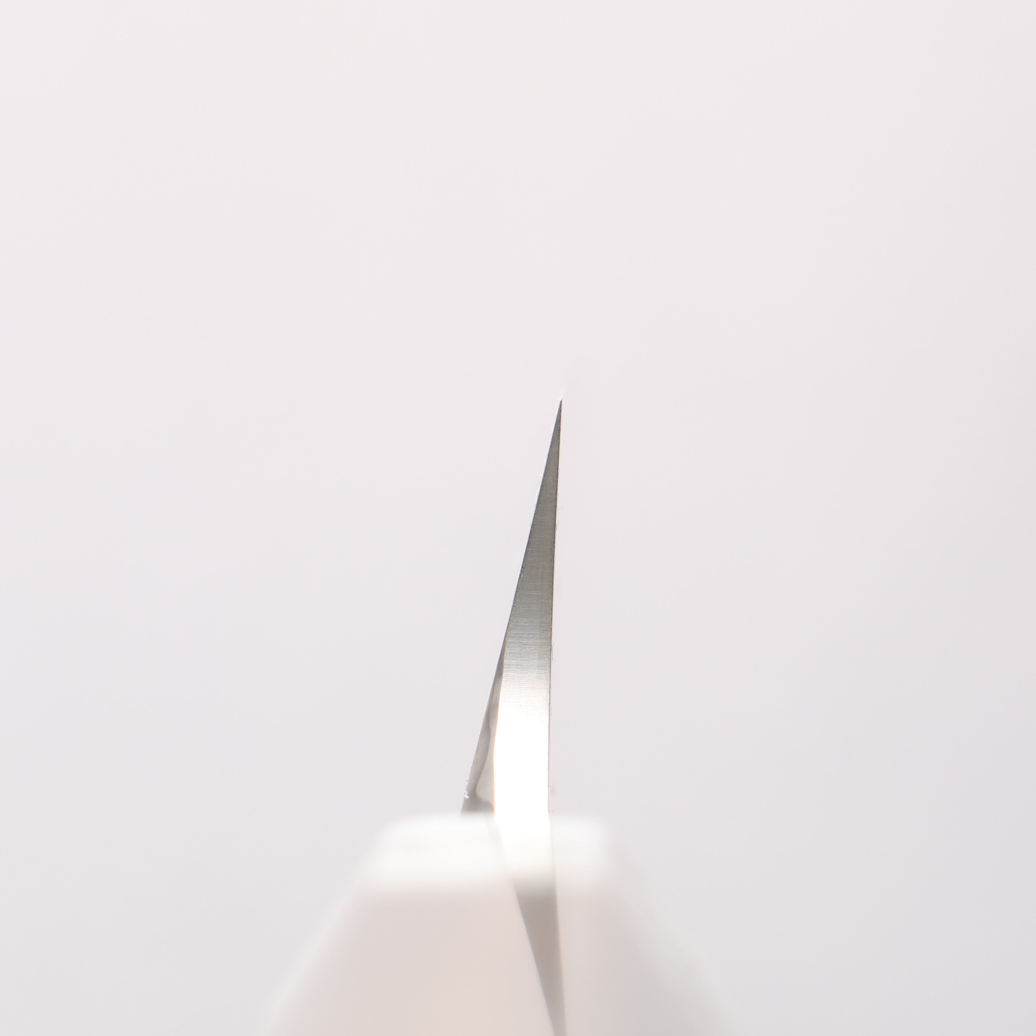 Sakai Takayuki Chef Series Hien Silver Steel No.3 Kiritsuke Yanagiba 270mm Stabilized wood (White Ferrule and End Cap) Handle with Sheath - Japanny - Best Japanese Knife