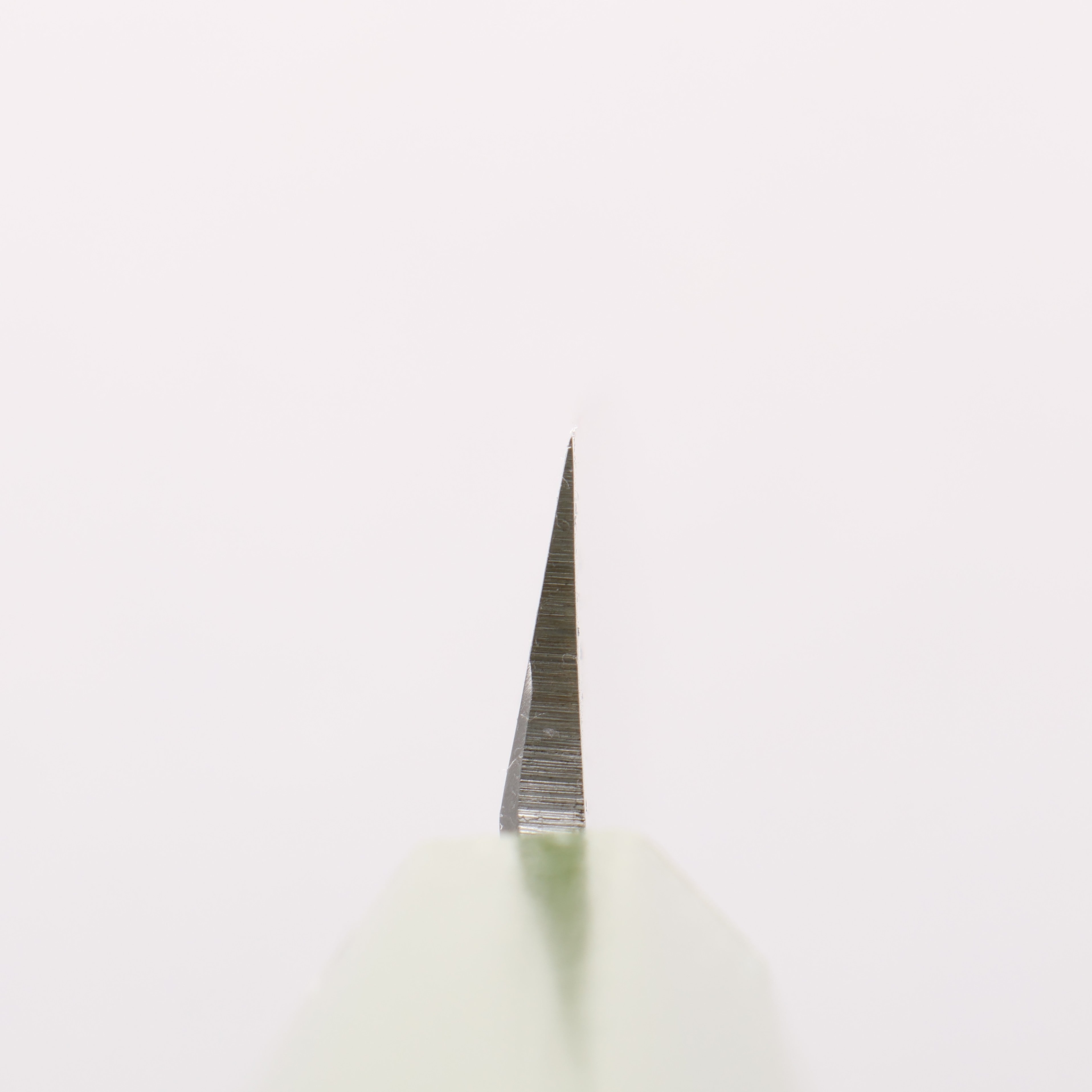 Sakai Takayuki Nanairo INOX Molybdenum Yanagiba 270mm ABS resin(Green pearl) Handle - Japanny - Best Japanese Knife