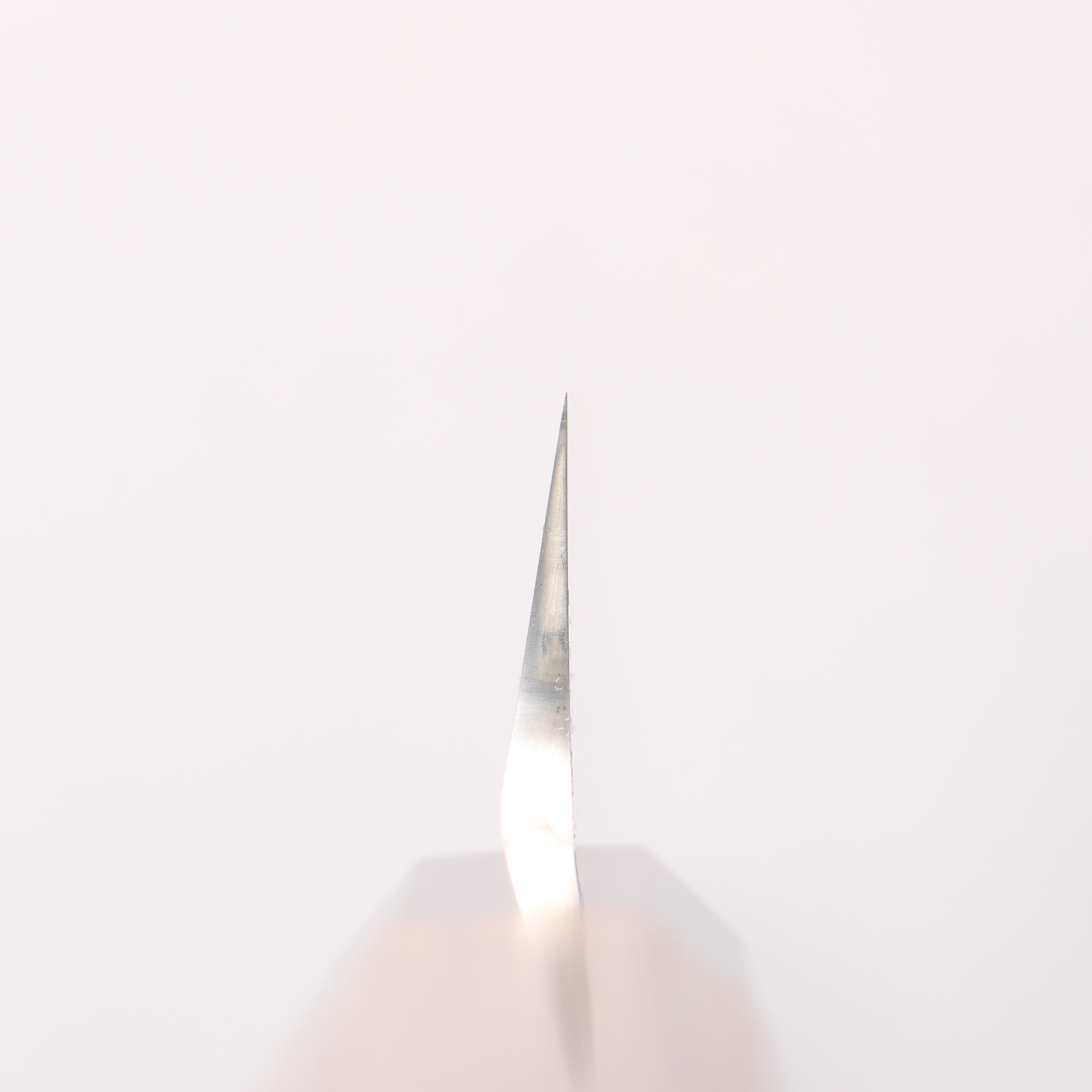 Sakai Takayuki Ginryu Honyaki Swedish Steel Mirrored Finish Sakimaru Yanagiba 300mm Wenge with Double Water Buffalo Ring Handle with Sheath - Japanny - Best Japanese Knife