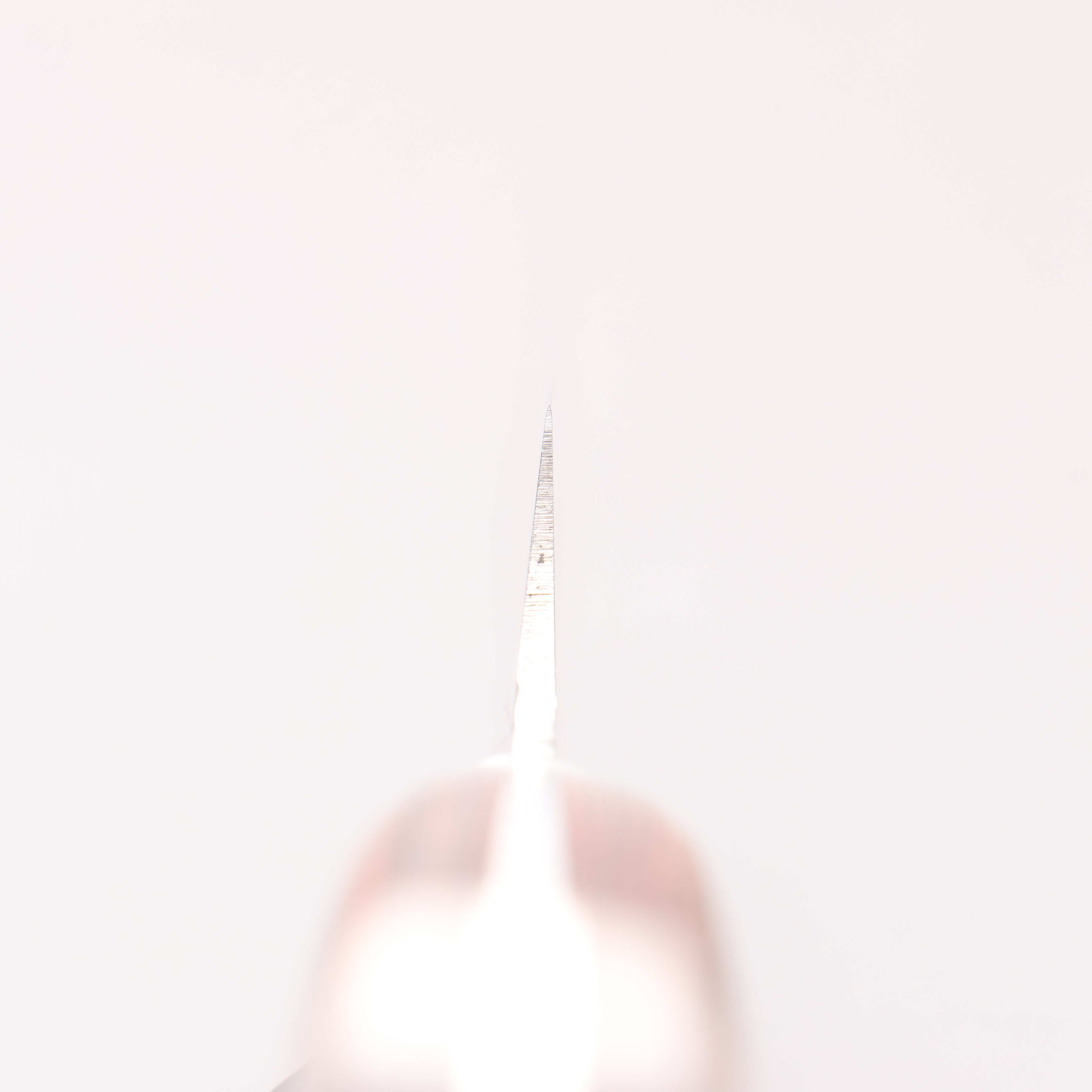 Jikko VG10 17 Layer Kiritsuke Yanagiba 300mm Mahogany Handle - Japanny - Best Japanese Knife