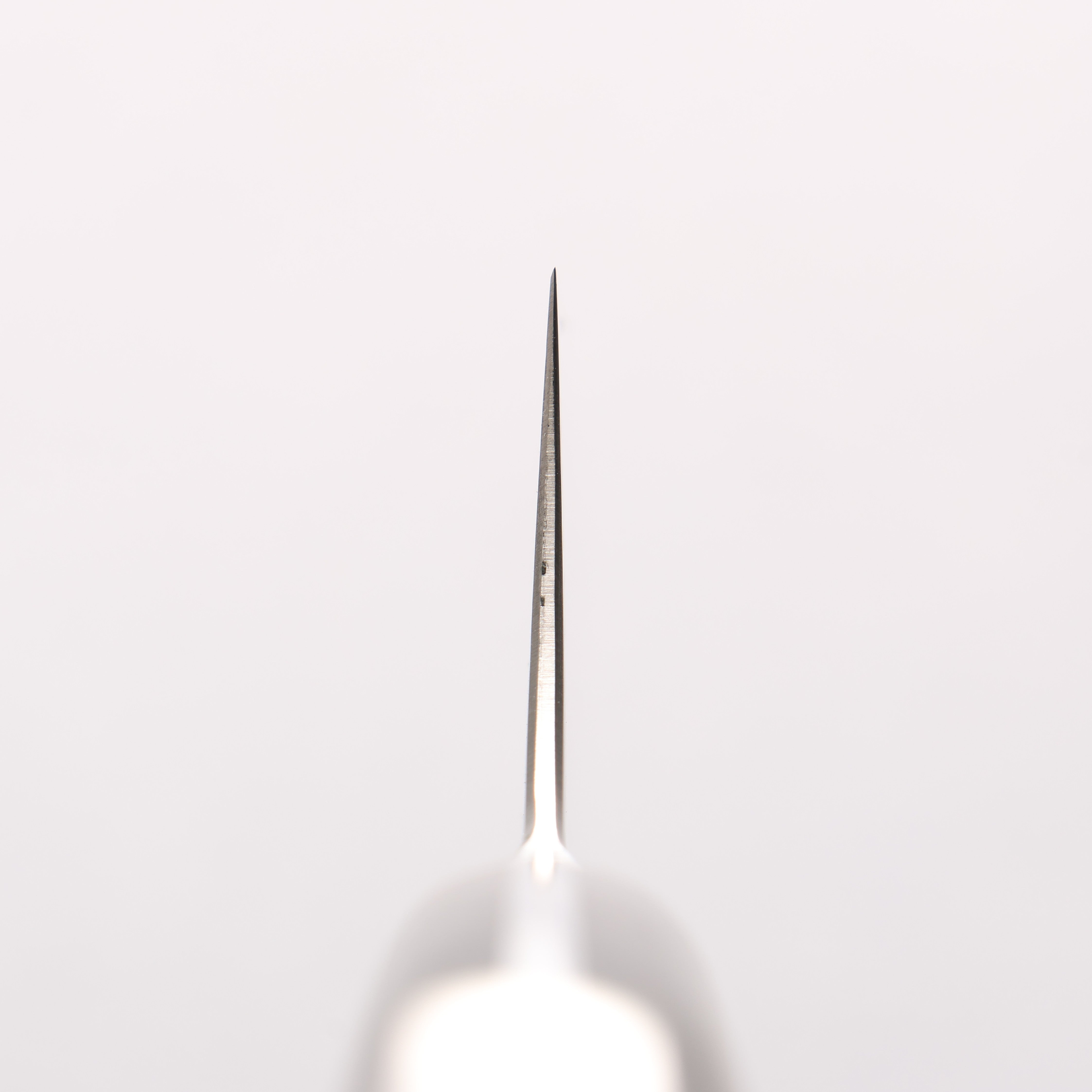 Kajin ZDP189 Damascus Migaki Finished Kiritsuke Gyuto 210mm Chinese Quince Burl Inlay Handle - Japanny - Best Japanese Knife