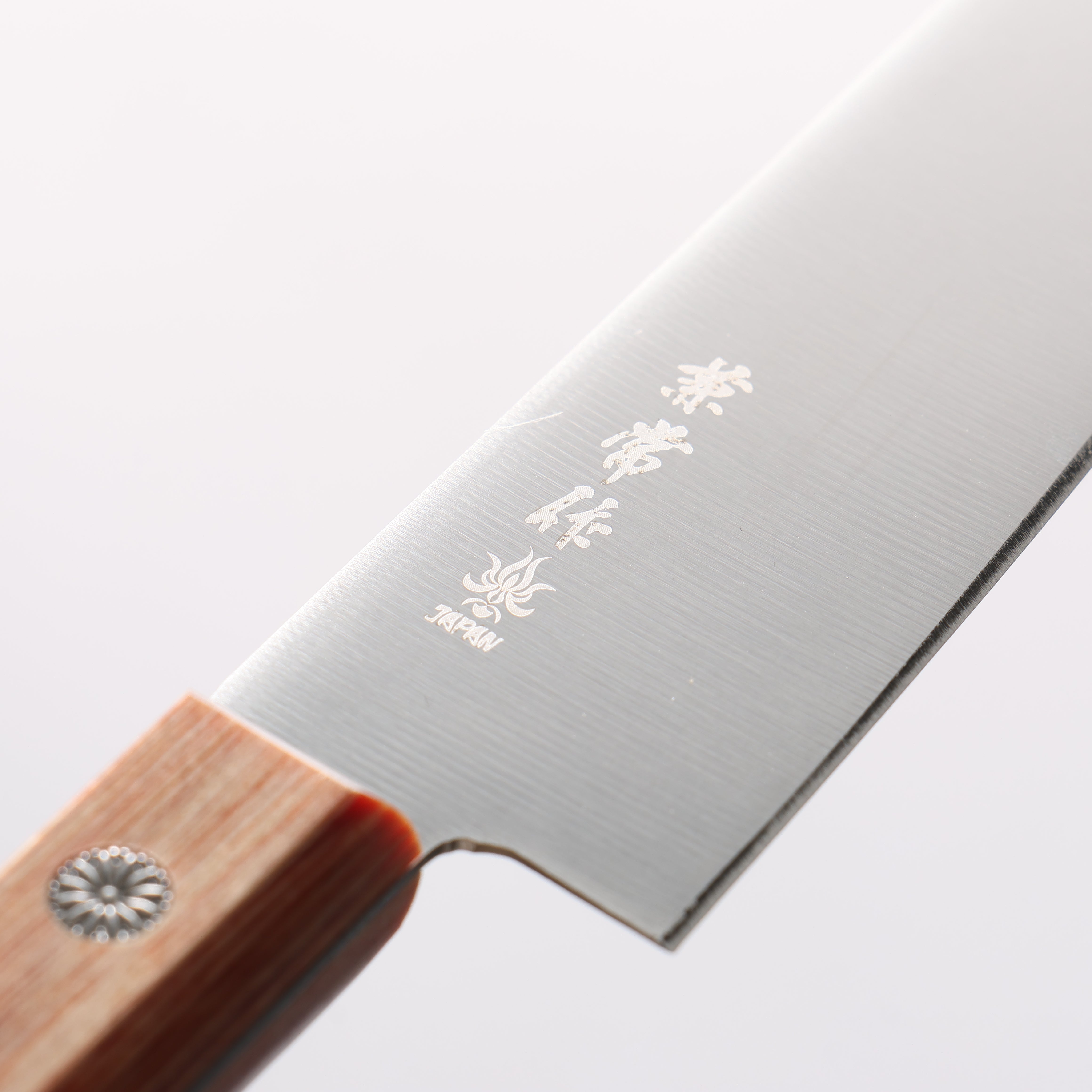 Kanetsune DSR-1K6 Kiritsuke Petty-Utility 120mm Pakka wood Handle - Japanny - Best Japanese Knife