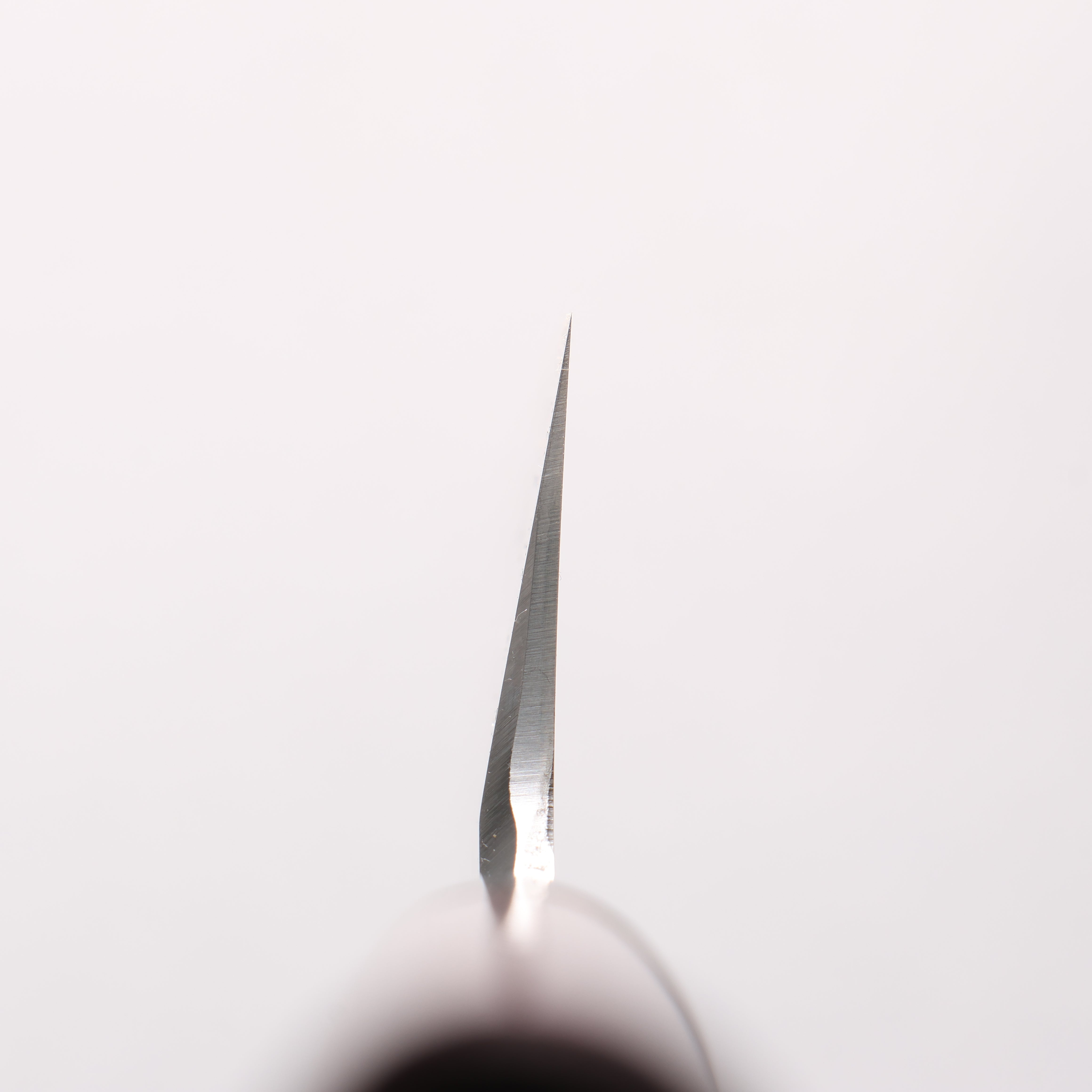 Jikko White Steel No.2 Kamagata Usuba 195mm Shitan Handle - Japanny - Best Japanese Knife