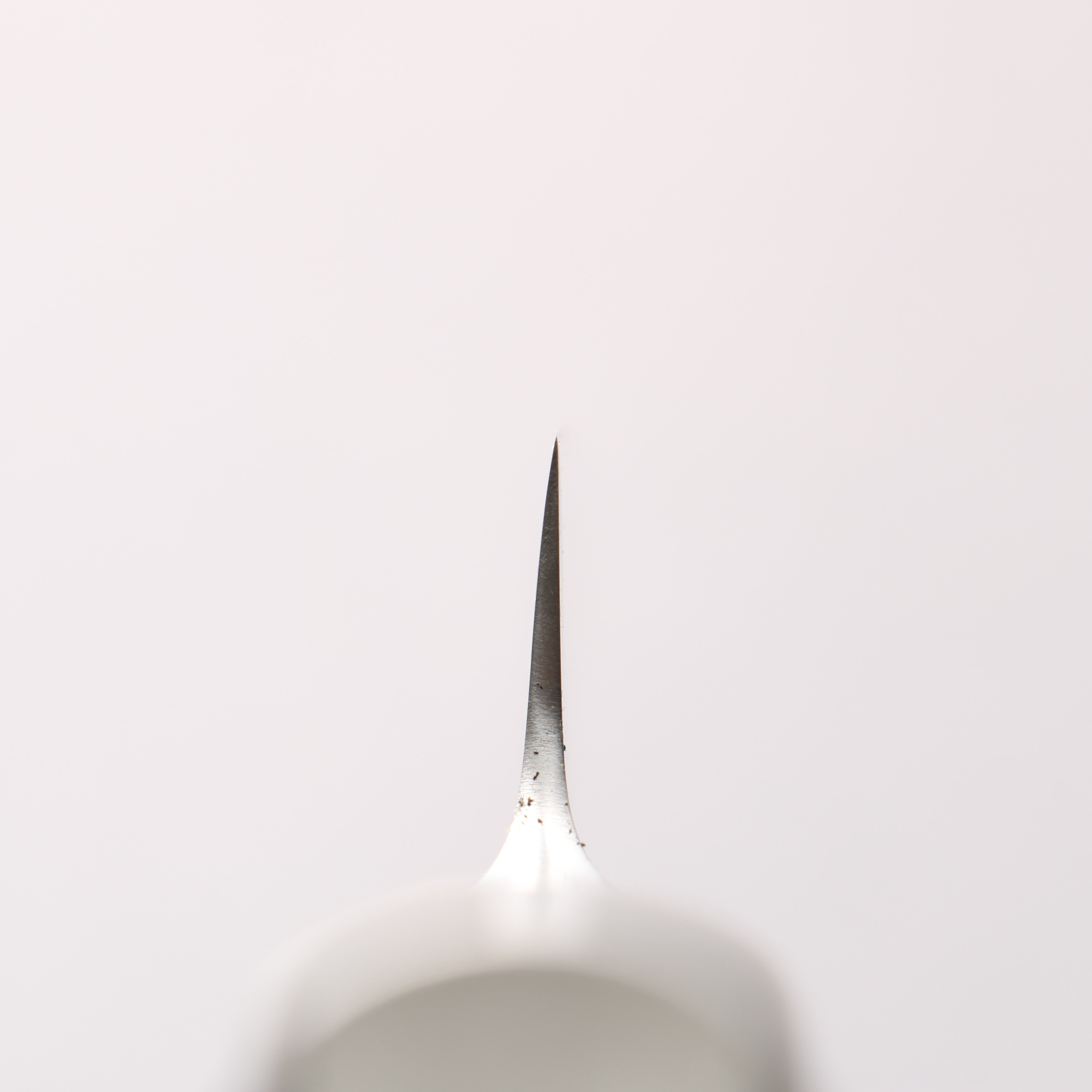 Glestain Stainless Steel Sujihiki - Japanny - Best Japanese Knife