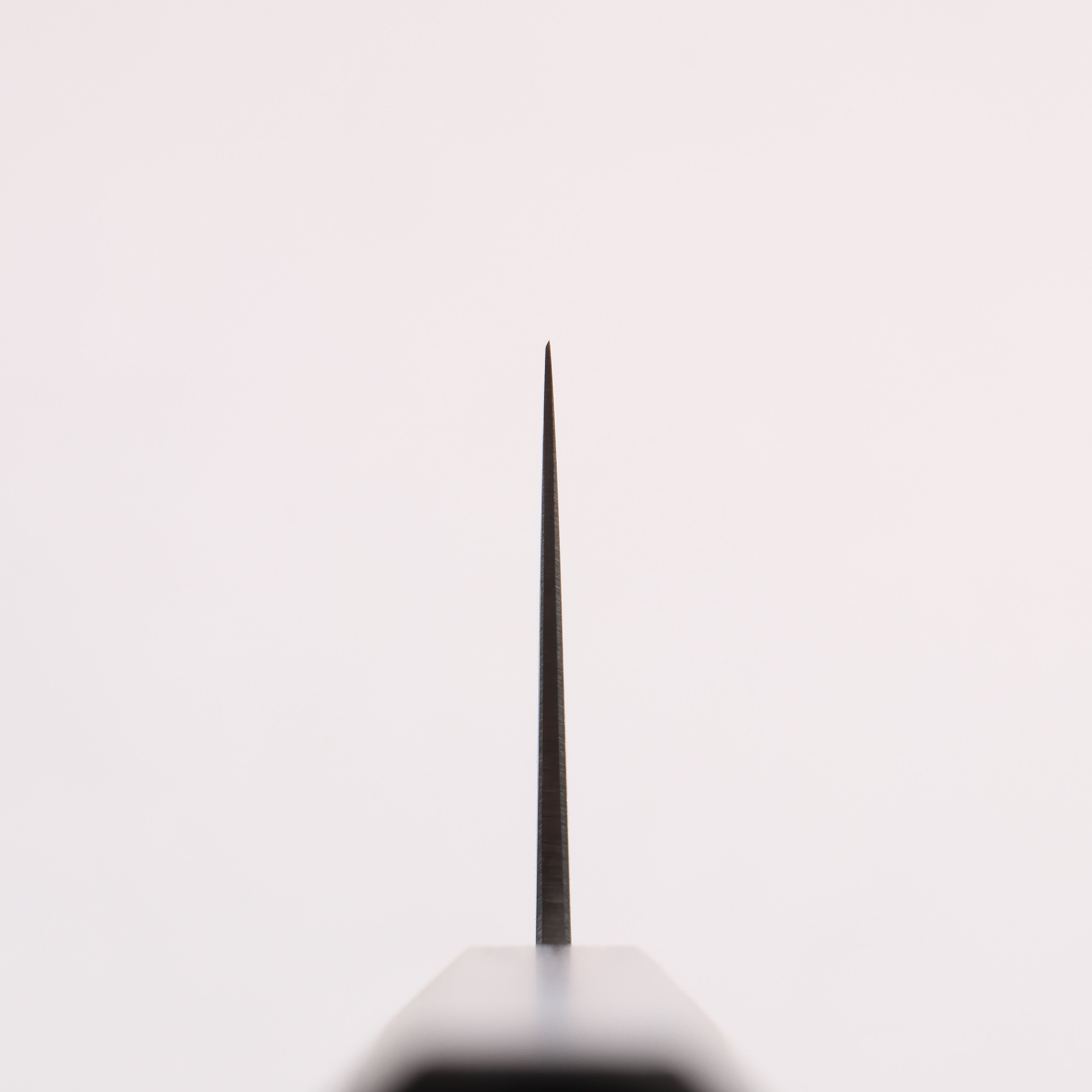 Seisuke Blue Steel No.2 Kiritsuke Santoku (wide) 180mm Oak (Purple Dyed) Handle - Japanny - Best Japanese Knife