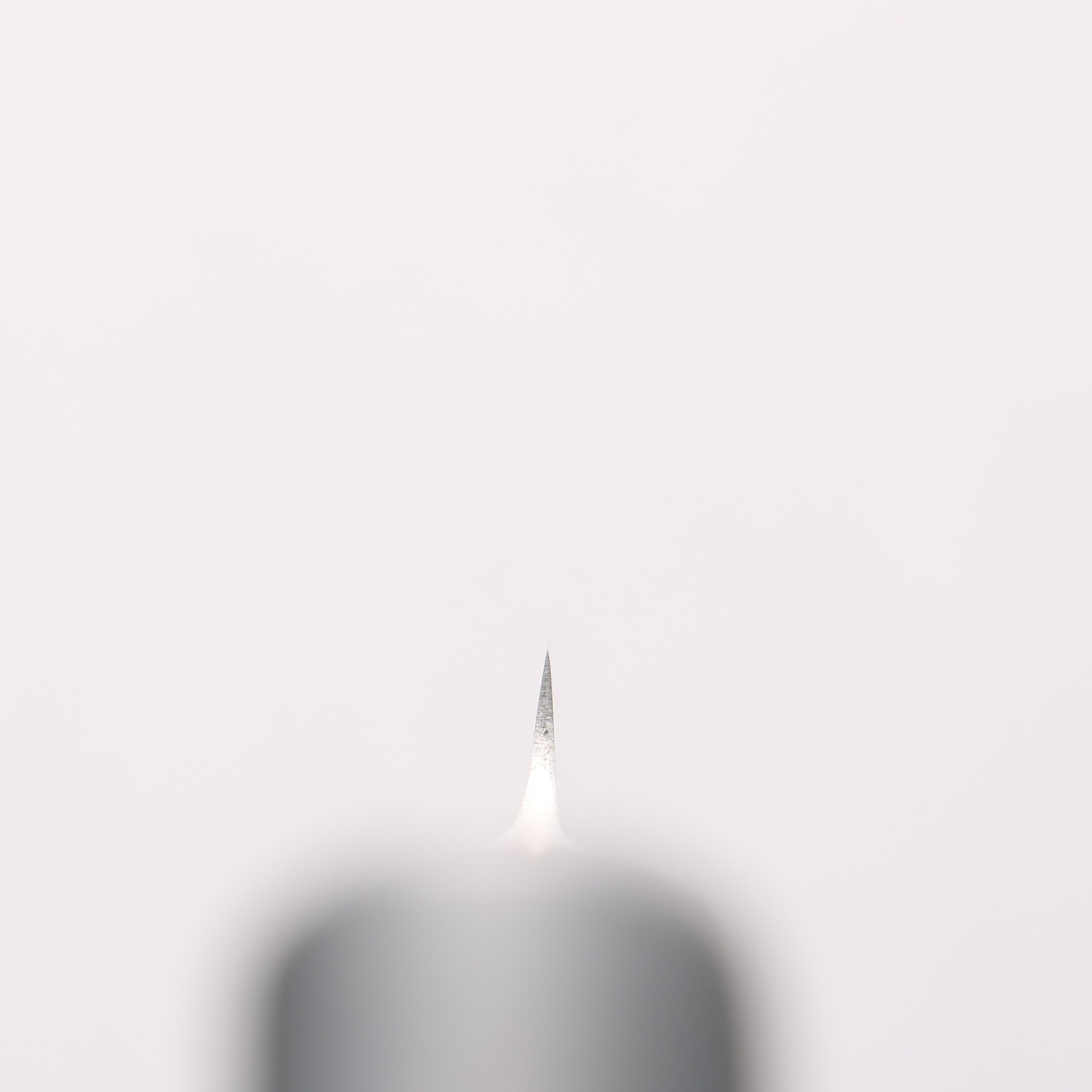 Glestain Stainless Steel Paring - Japanny - Best Japanese Knife