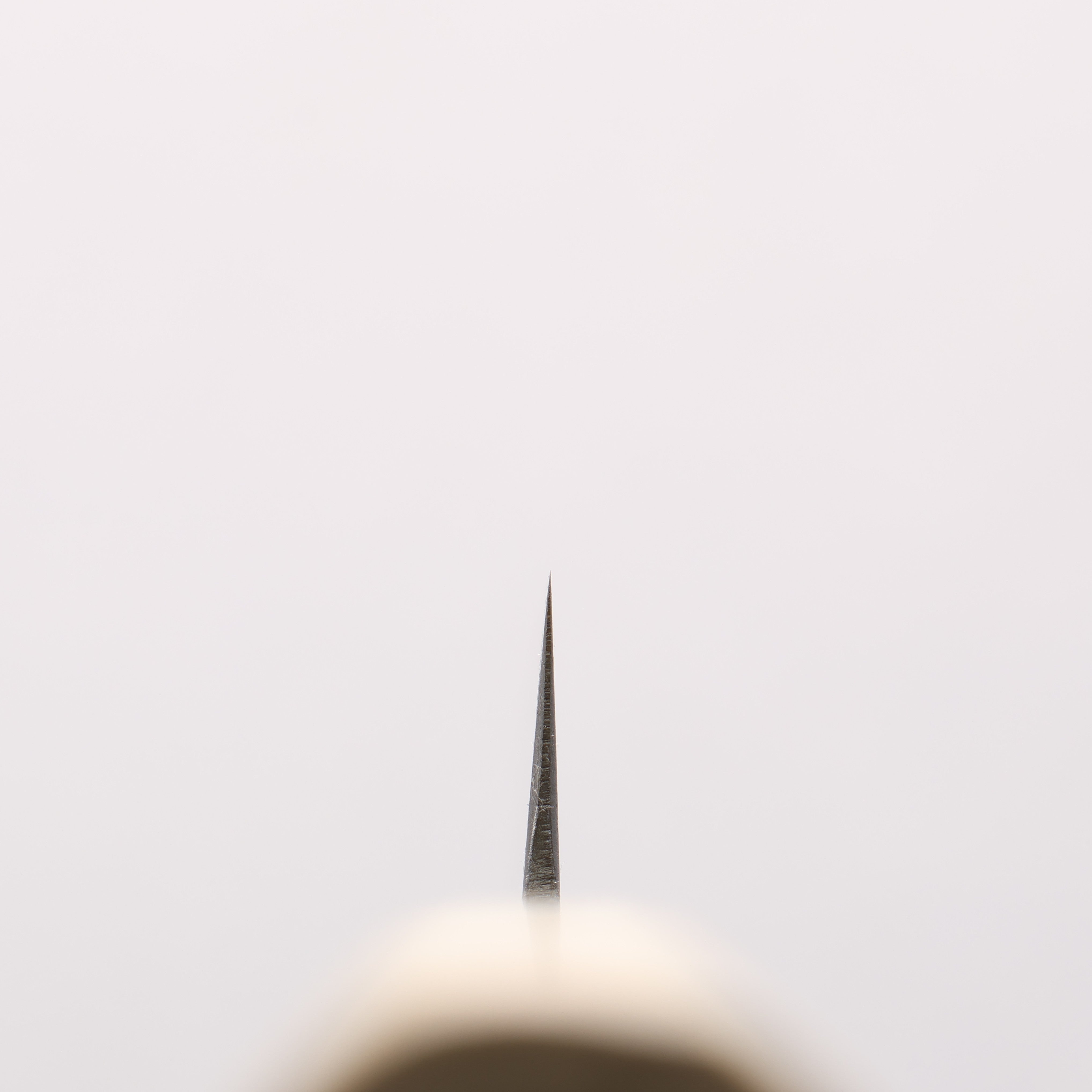 Minamoto Akitada White Steel No.2 Petty-Utility 150mm Magnolia Handle - Japanny - Best Japanese Knife