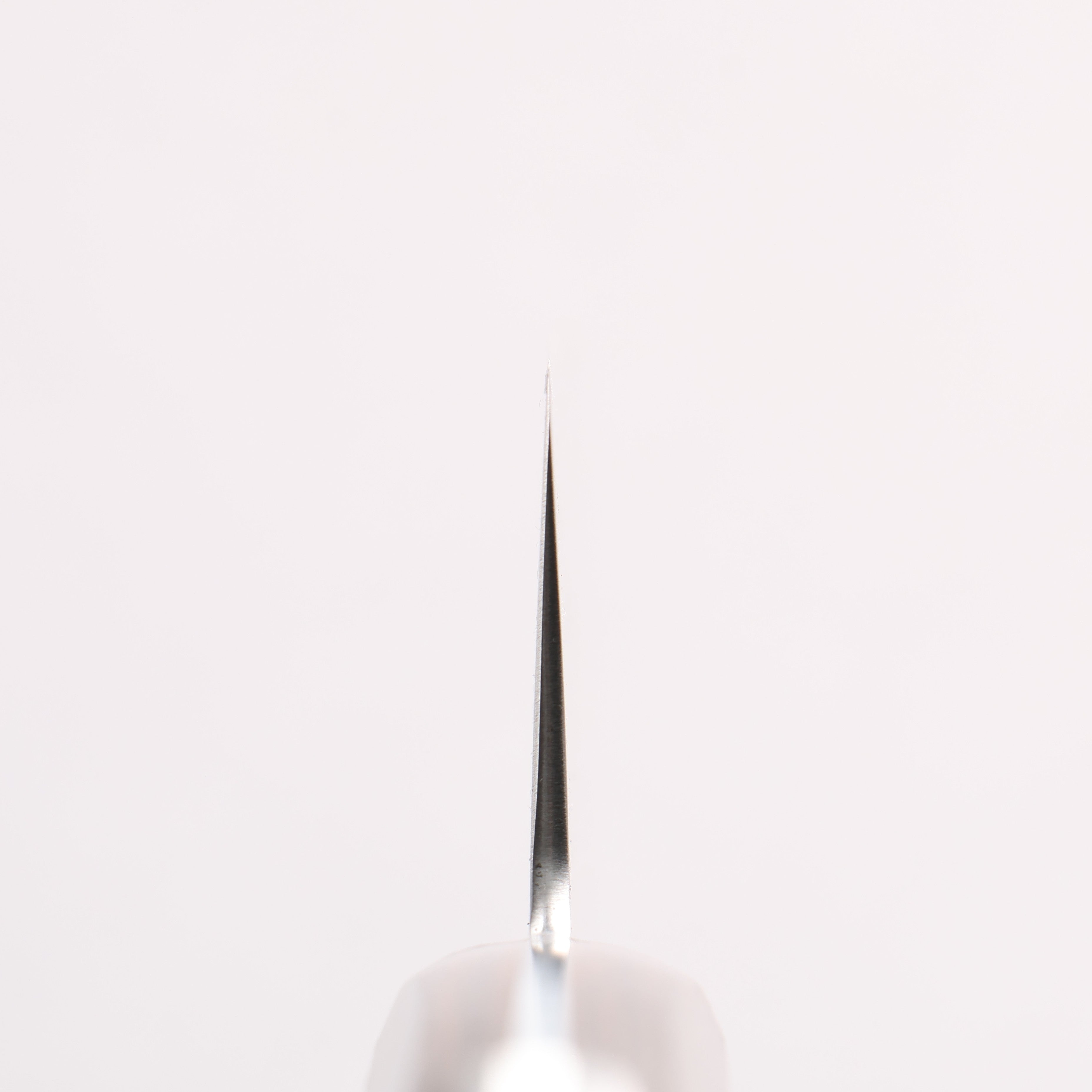 Seisuke SLD Migaki Polish Finish Gyuto 210mm Brown Pakka wood Handle - Japanny - Best Japanese Knife