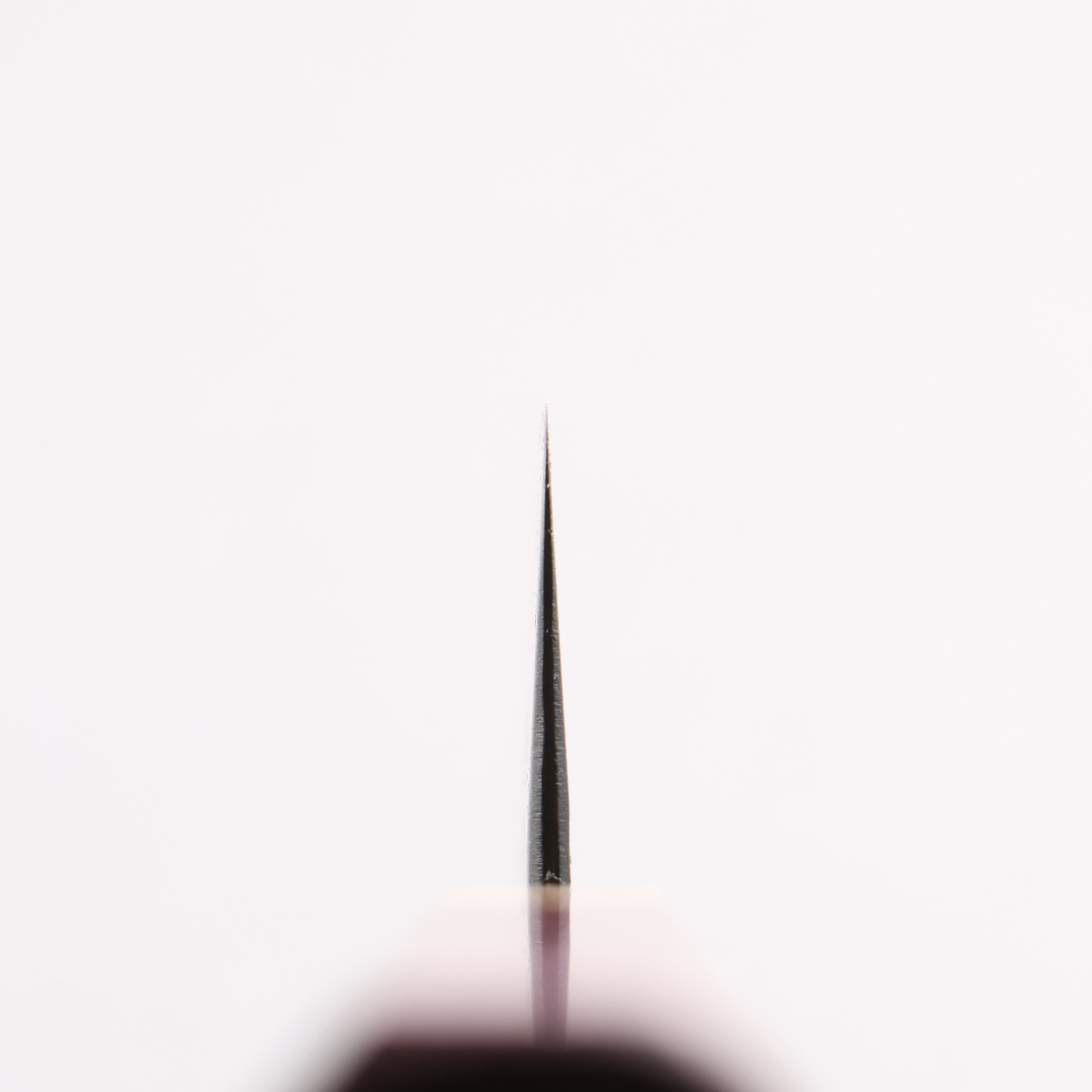 Fukube VG10 Hammered Black Finished Gyuto 210mm Purple Heart Handle - Japanny - Best Japanese Knife