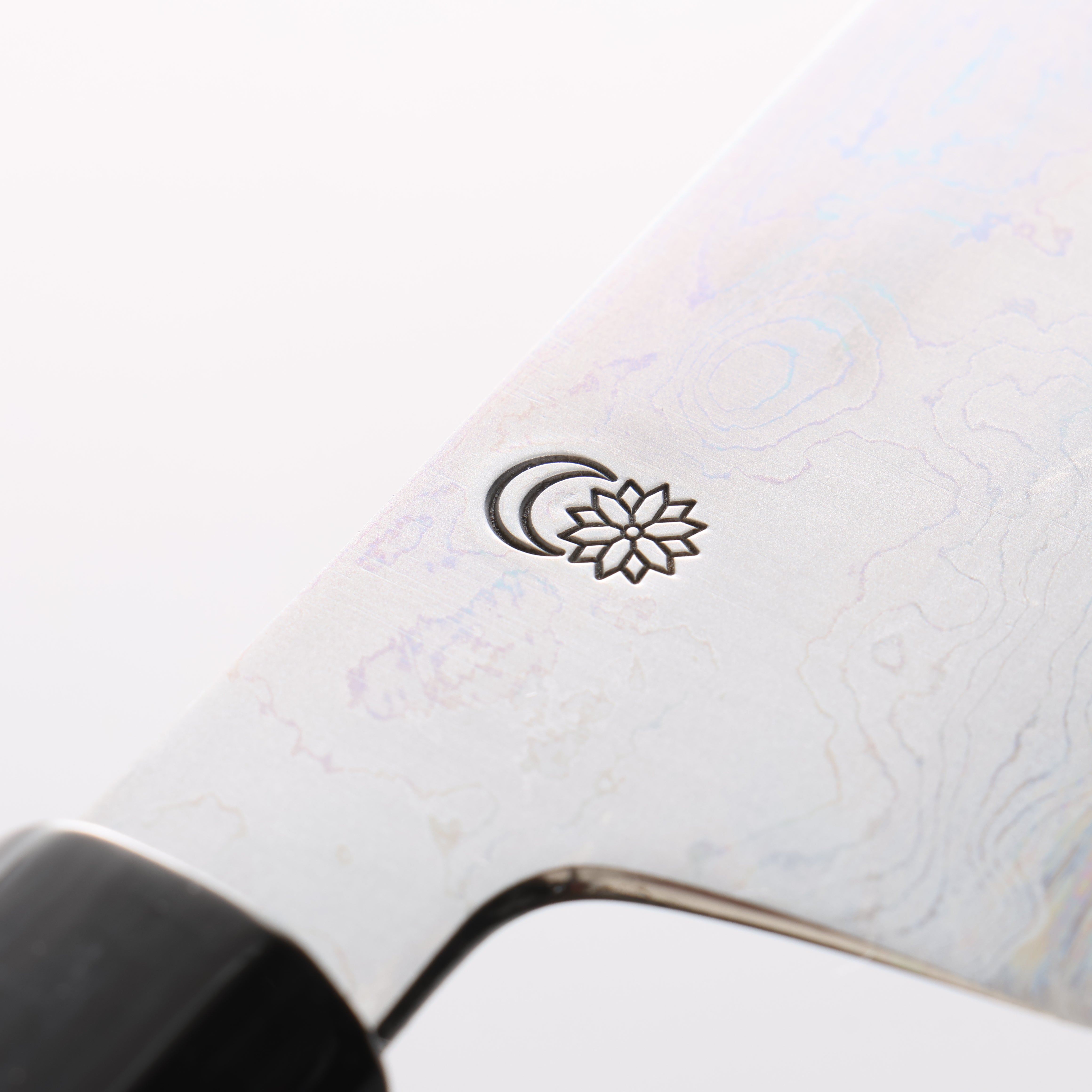 Kikuzuki Blue Steel No.1 Damascus Kiritsuke Gyuto 240mm Magnolia Handle - Japanny - Best Japanese Knife