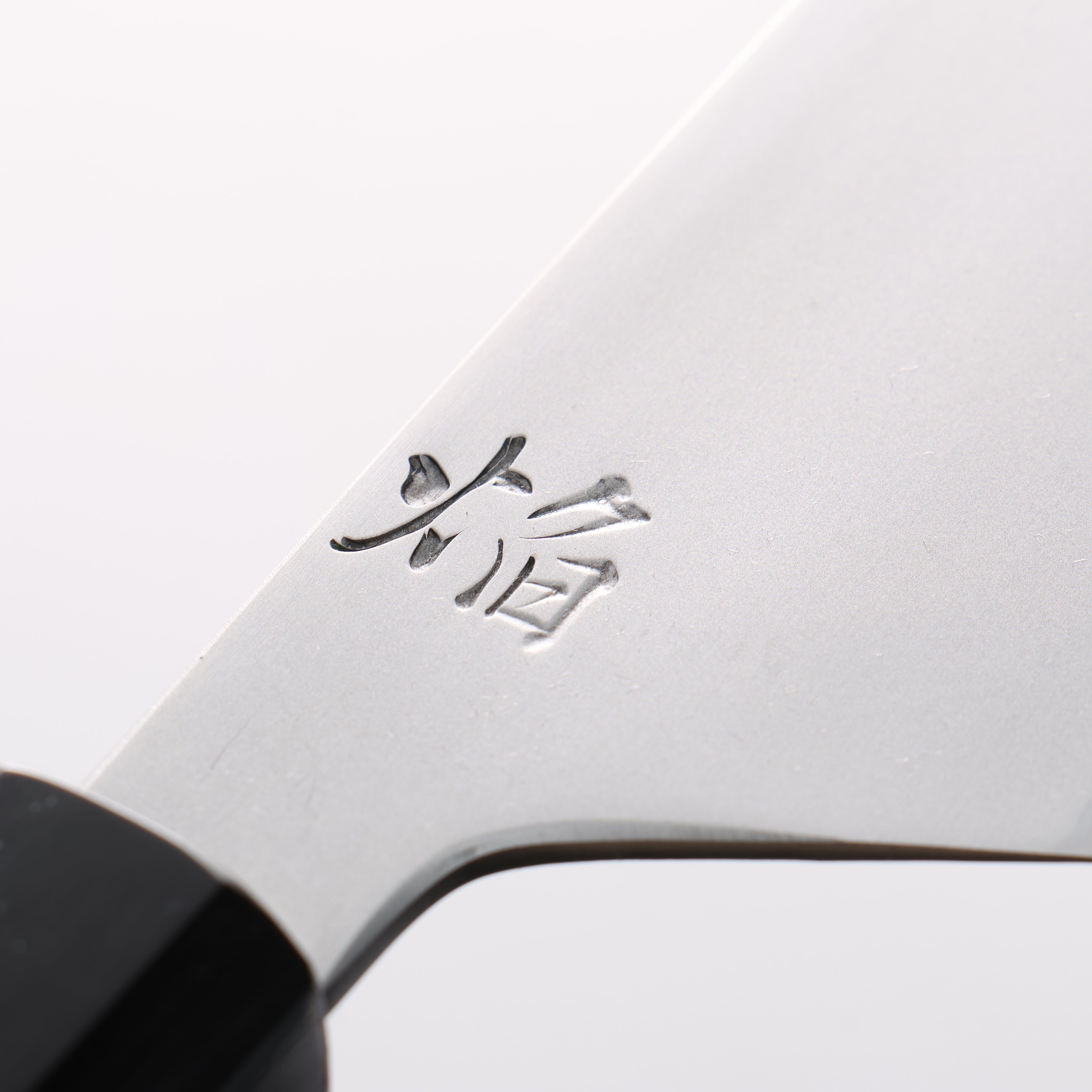 Sakai Takayuki Homura Hien Blue Steel No.2 Gyuto 210mm Yew Tree Handle with Sheath - Japanny - Best Japanese Knife