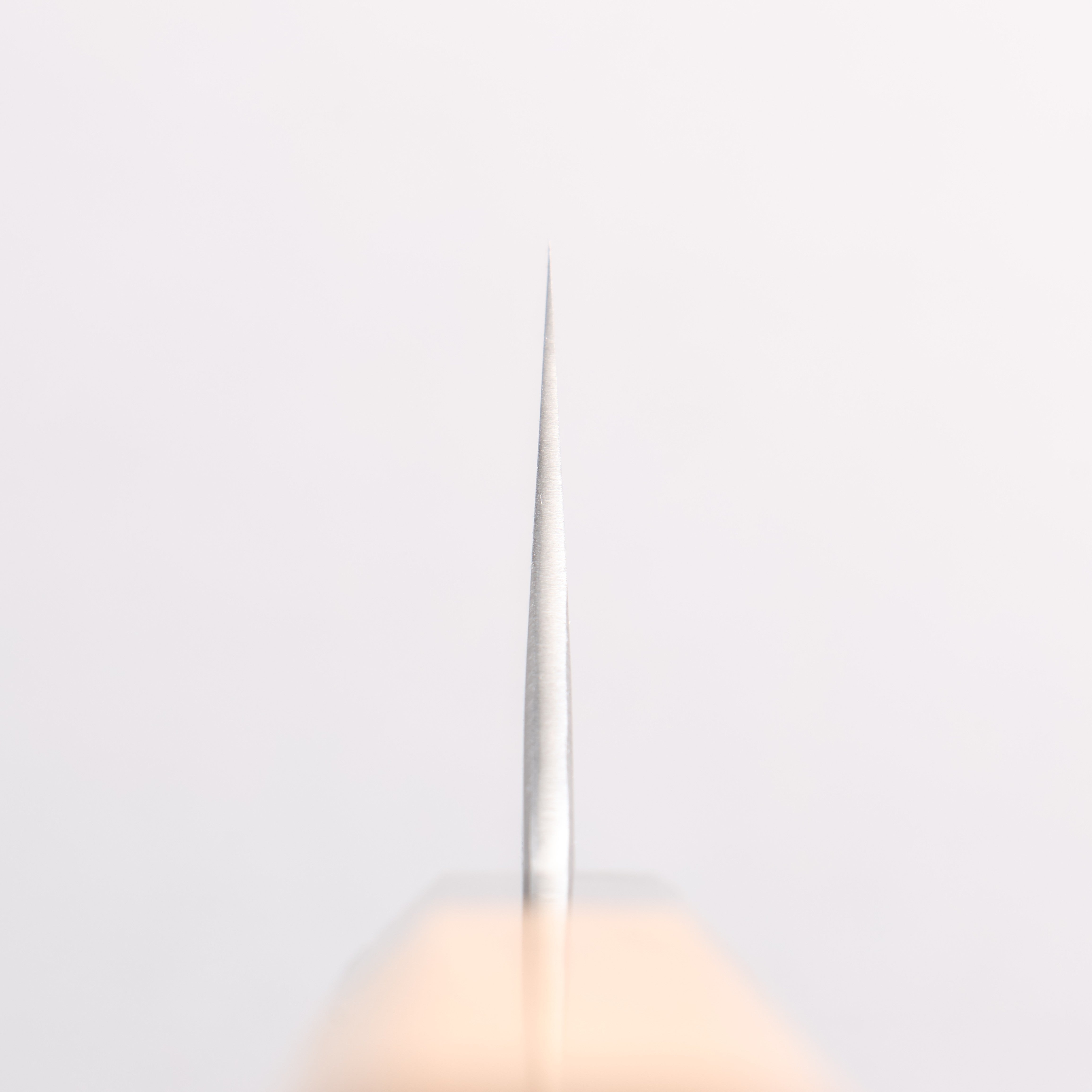 Sakai Takayuki Homura Hien Blue Steel No.2 Gyuto 210mm Yew Tree Handle with Sheath - Japanny - Best Japanese Knife