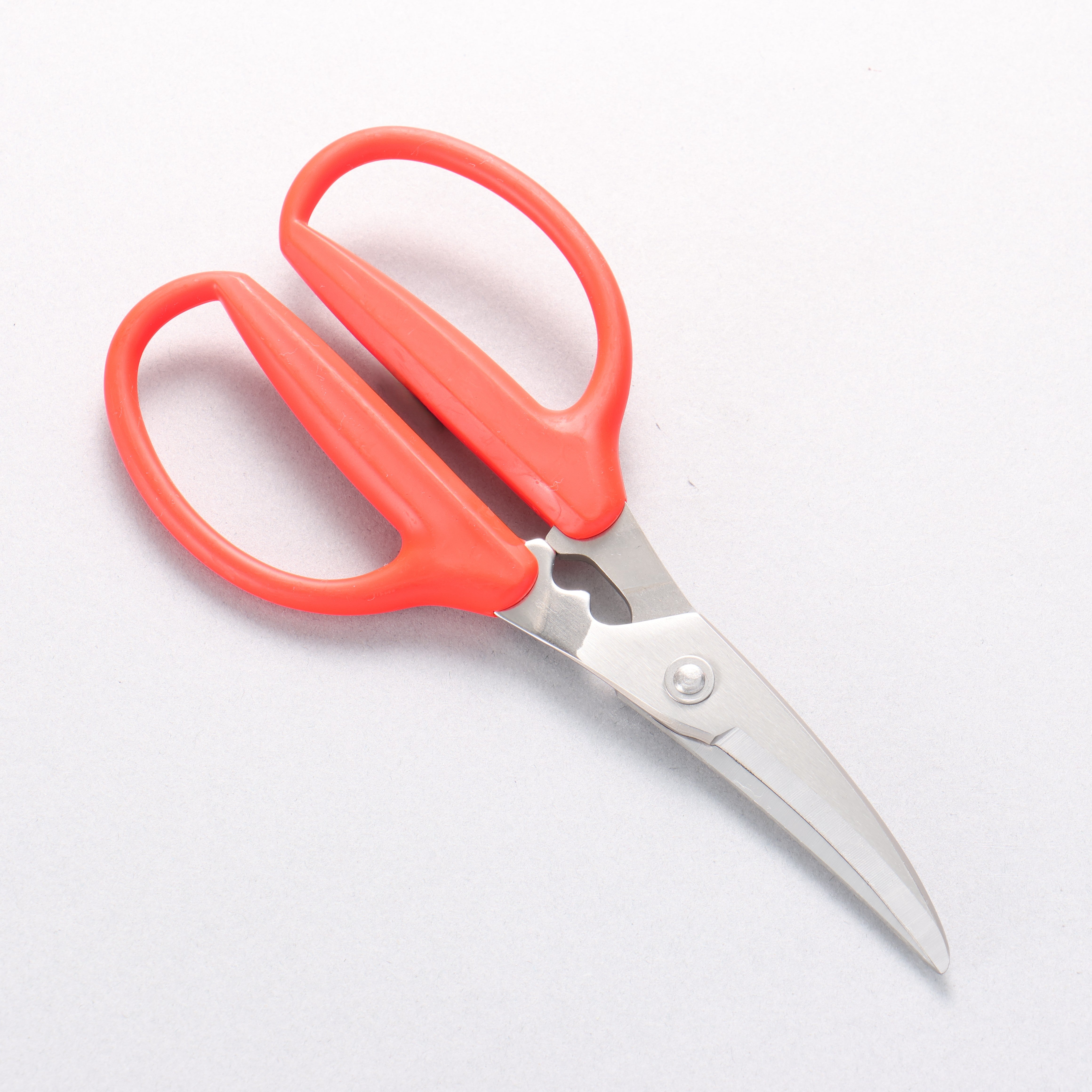 MT Stainless Steel Scissors - Japanny - Best Japanese Knife