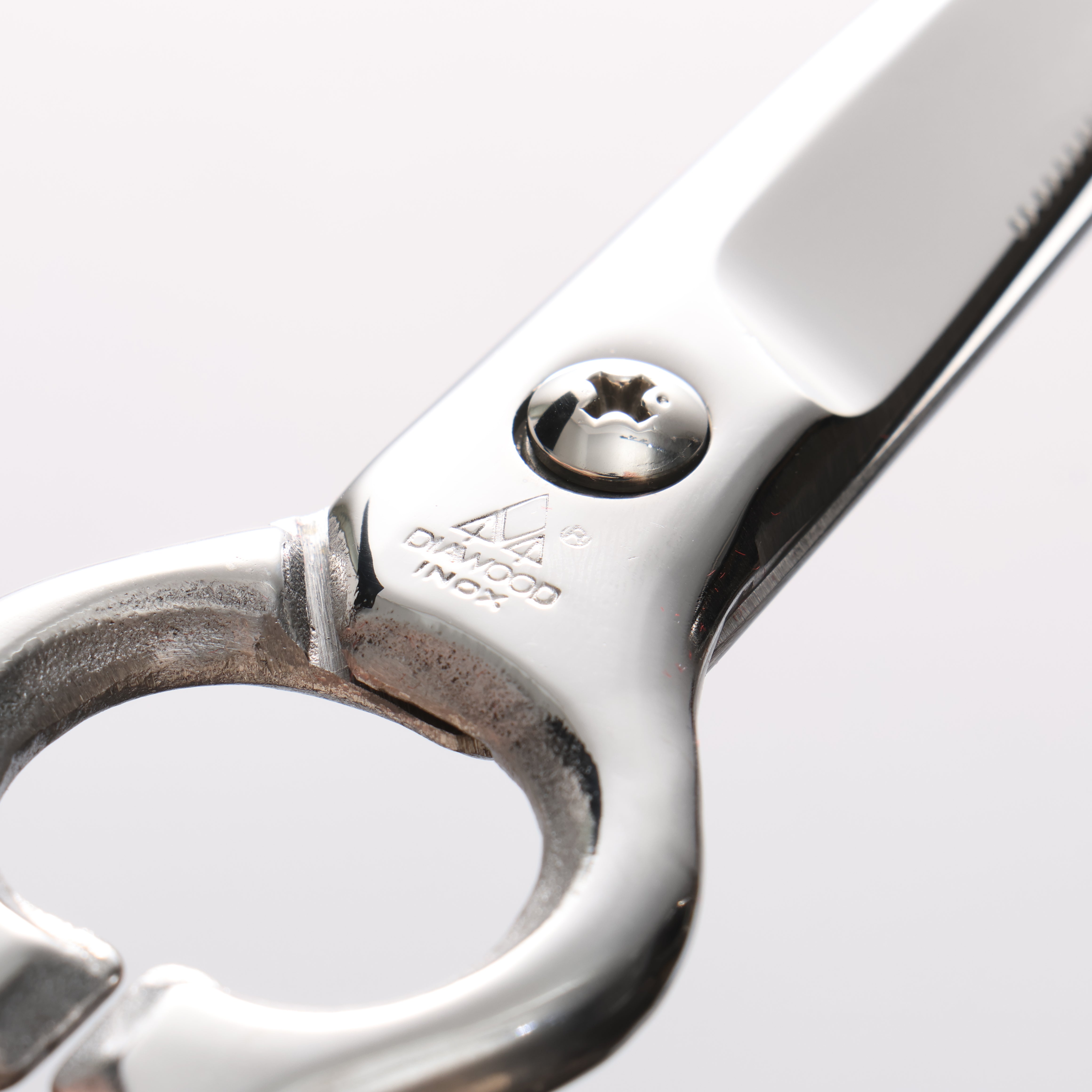 MT INOX Stainless Steel Scissors - Japanny - Best Japanese Knife