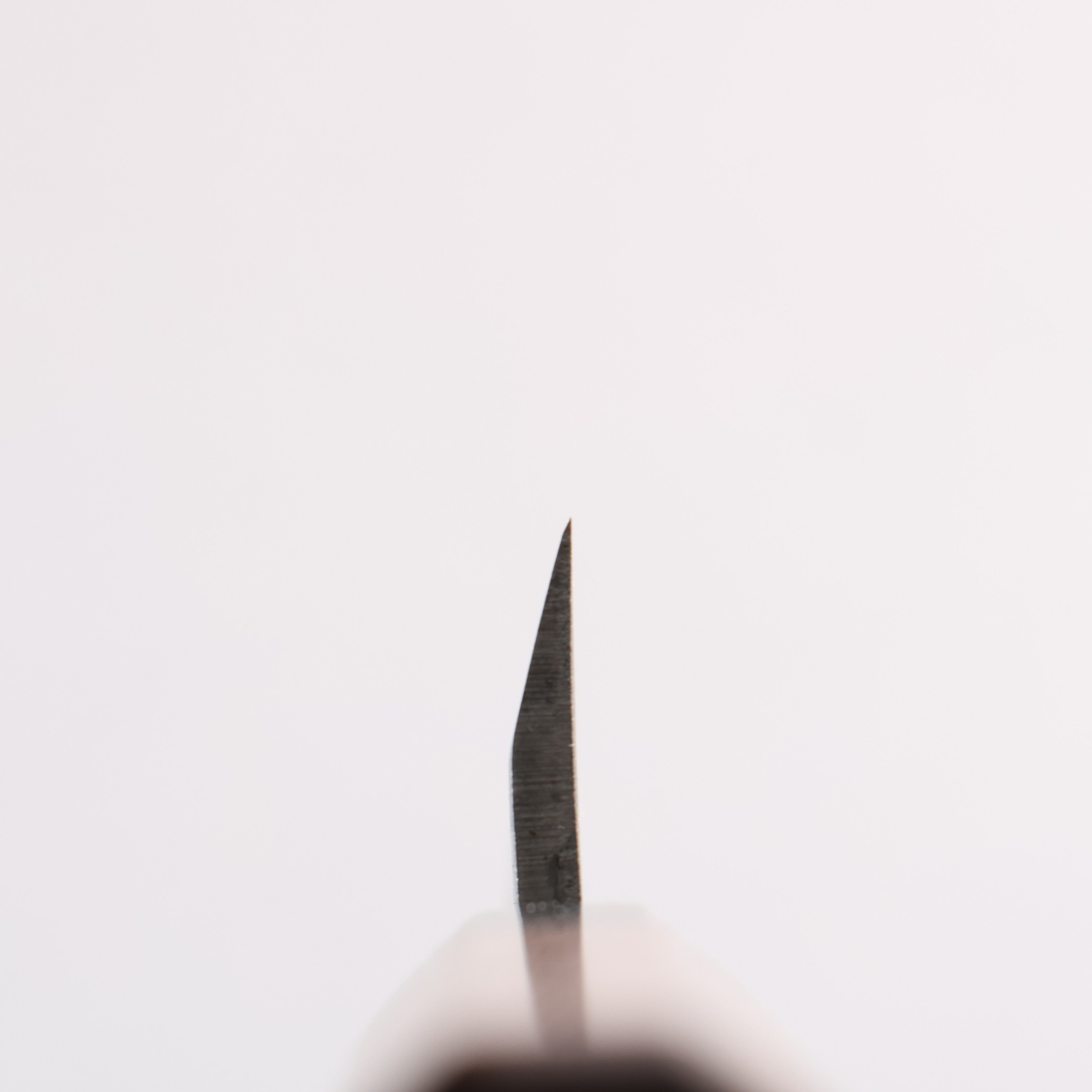 Seisuke Silver Steel No.3 Hammered(Maru) Petty-Utility 150mm Walnut Handle - Japanny - Best Japanese Knife