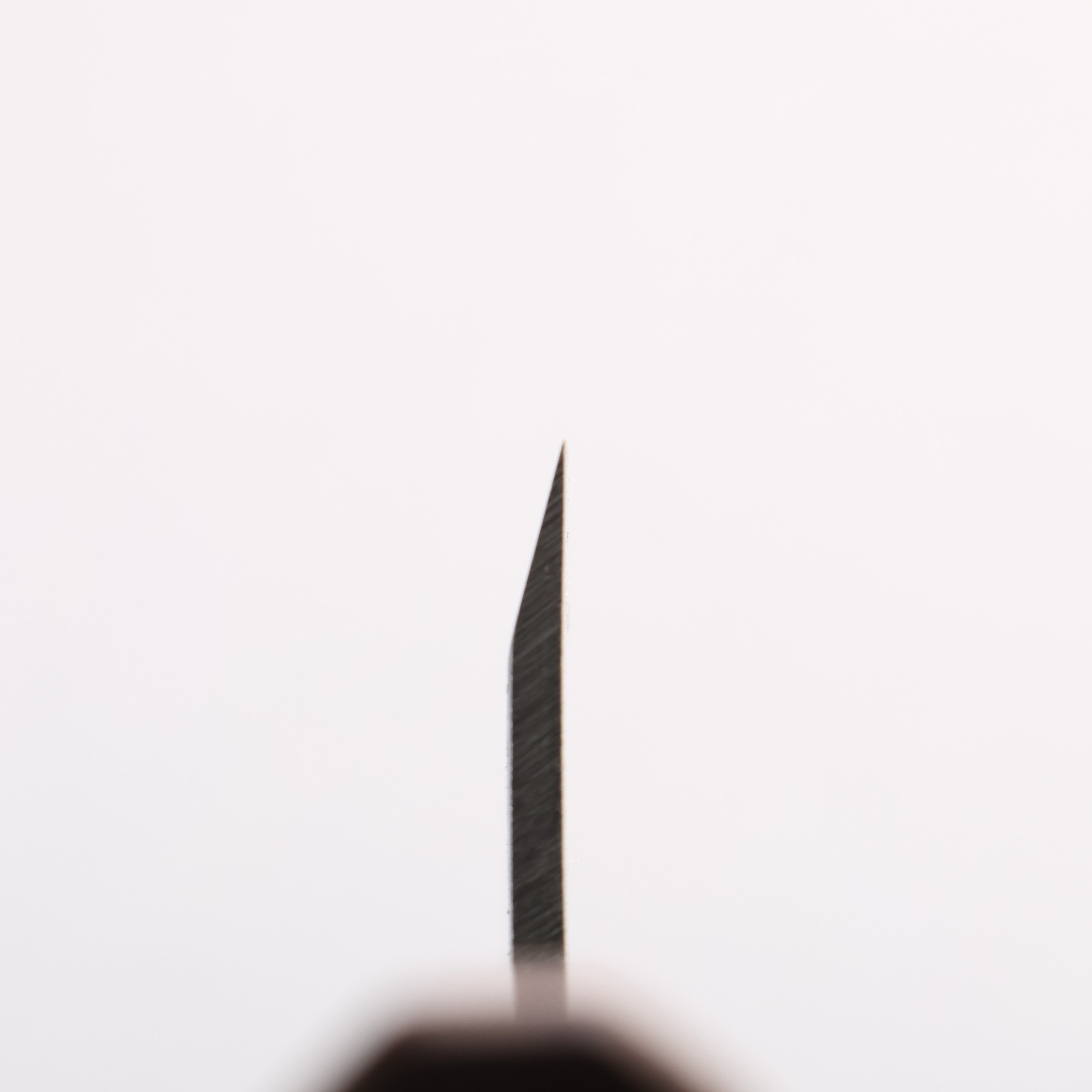 Seisuke Silver Steel No.3 Hammered(Maru) Ajikiri 120mm Walnut Handle - Japanny - Best Japanese Knife