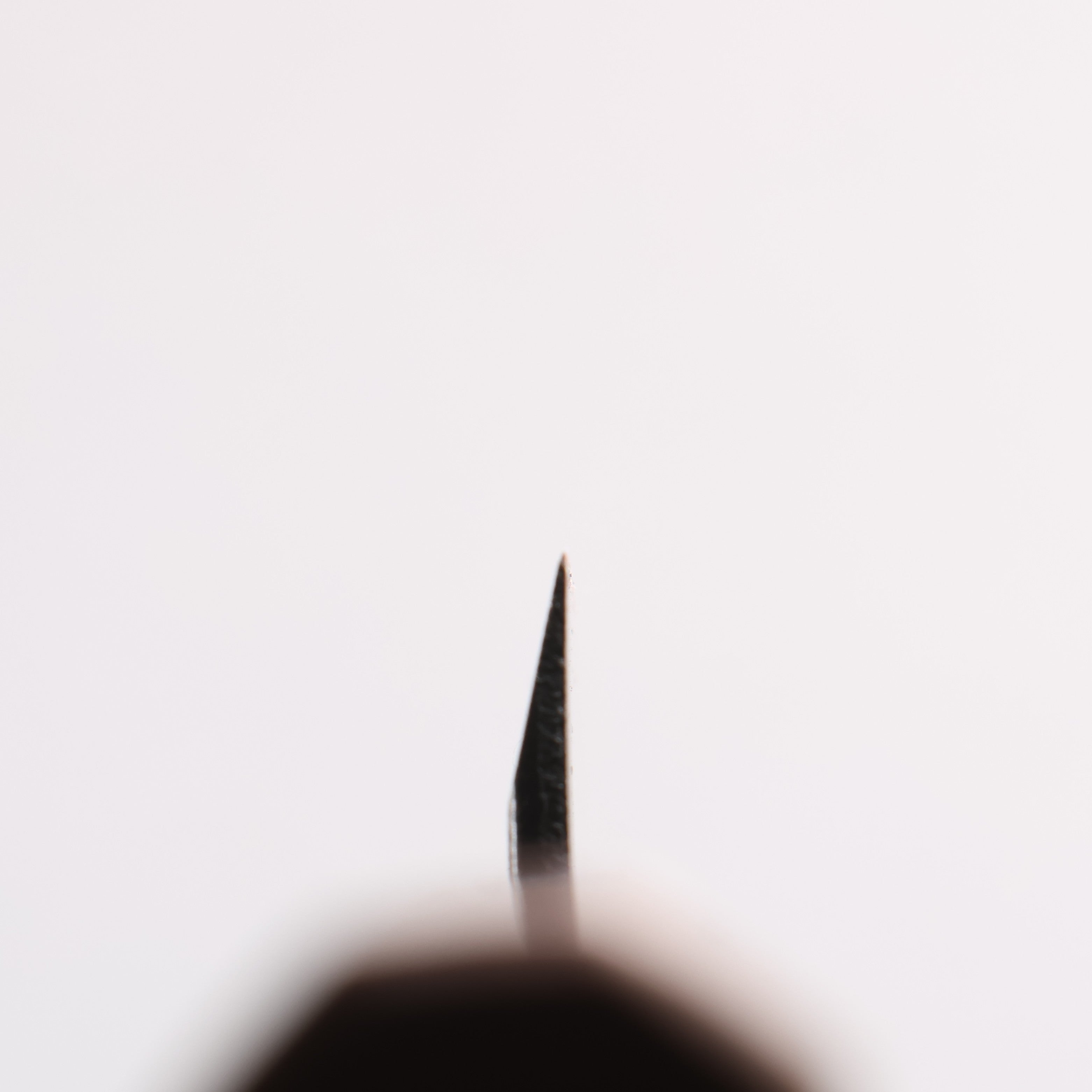 Seisuke Blue Steel No.2 Black Finished Ajikiri 90mm Walnut Handle - Japanny - Best Japanese Knife