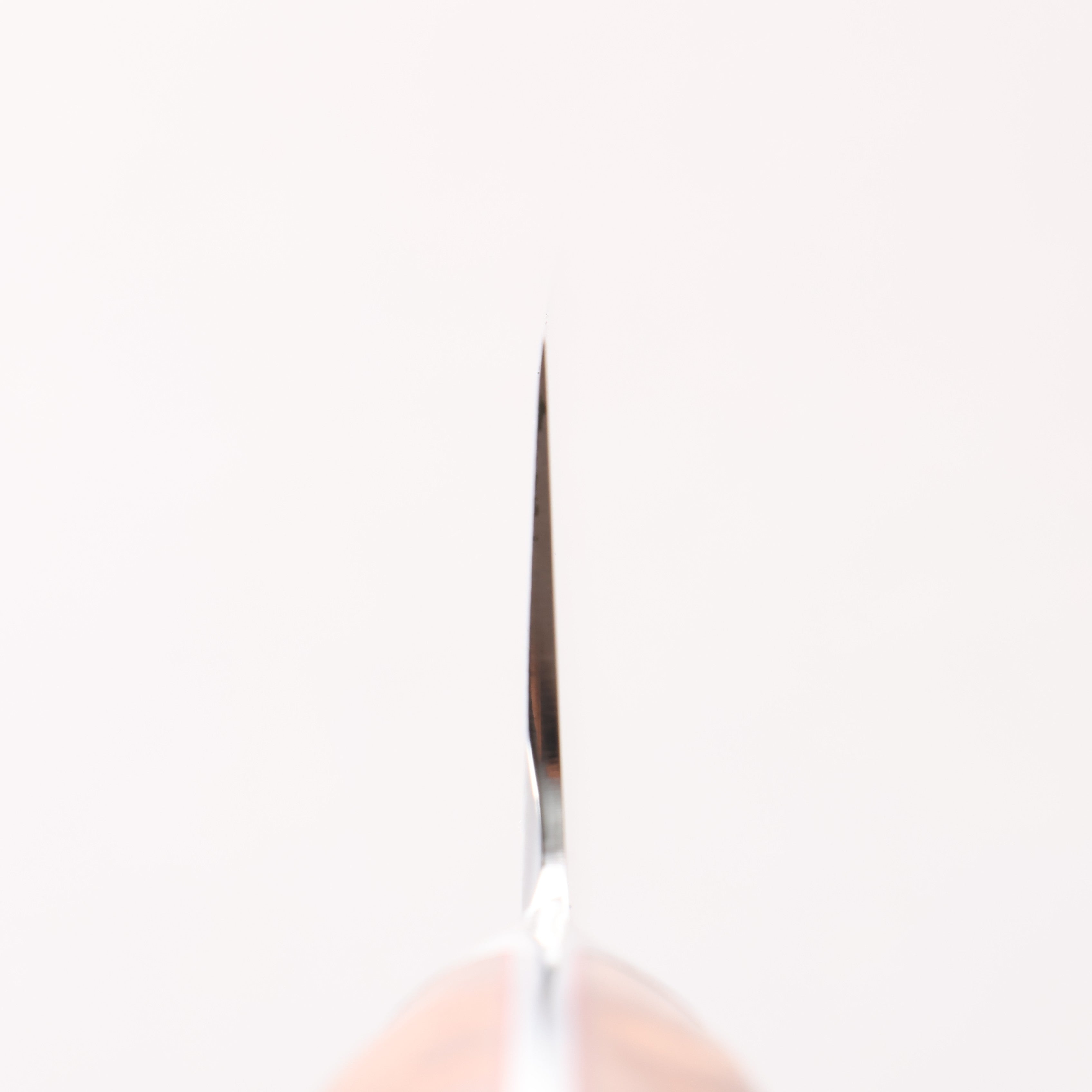 Kajin SG2 Sujihiki 240mm Chinese Quince Burl Handle - Japanny - Best Japanese Knife