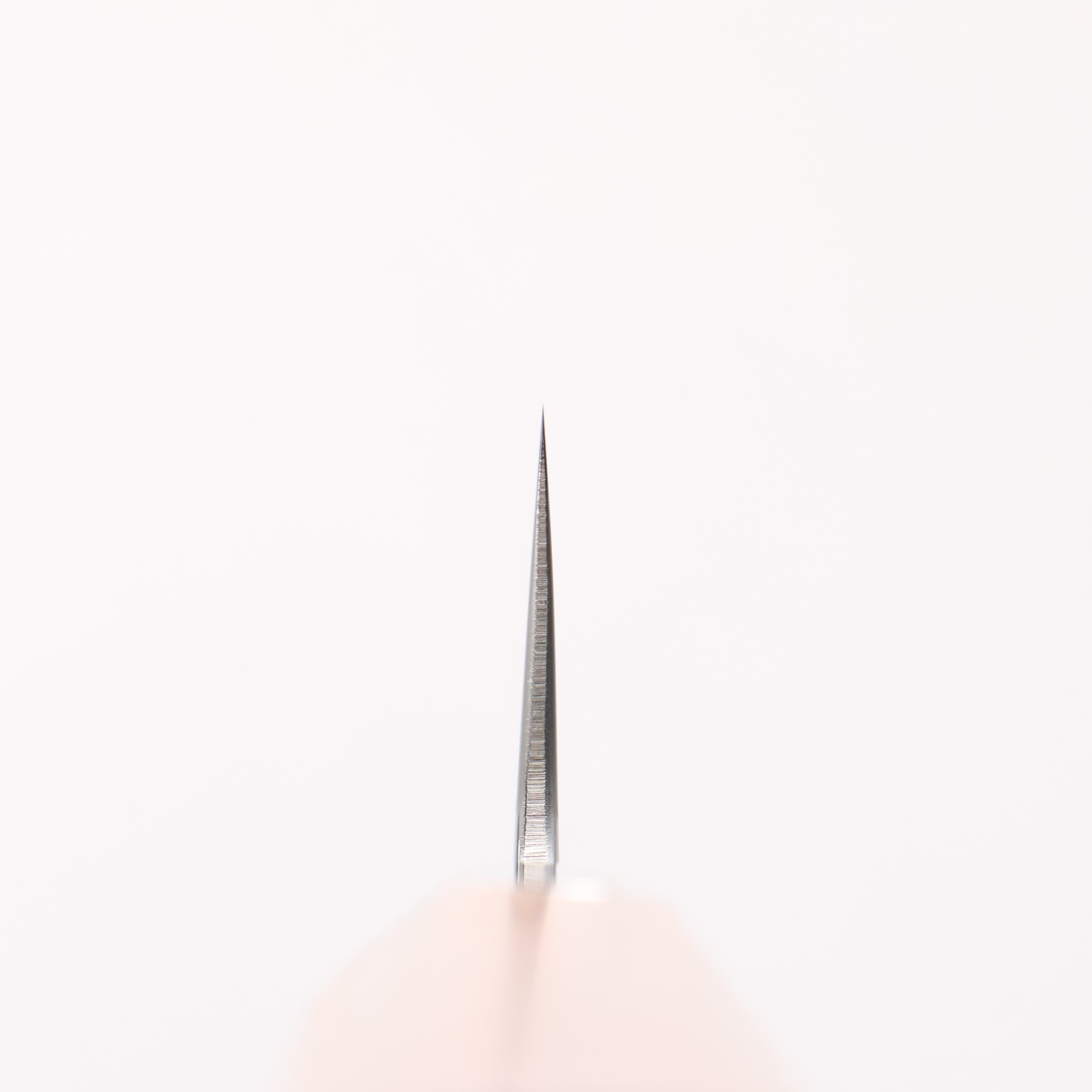 Kurotori Silver Steel No.3 Migaki Finished Yanagiba 240mm Walnut Handle