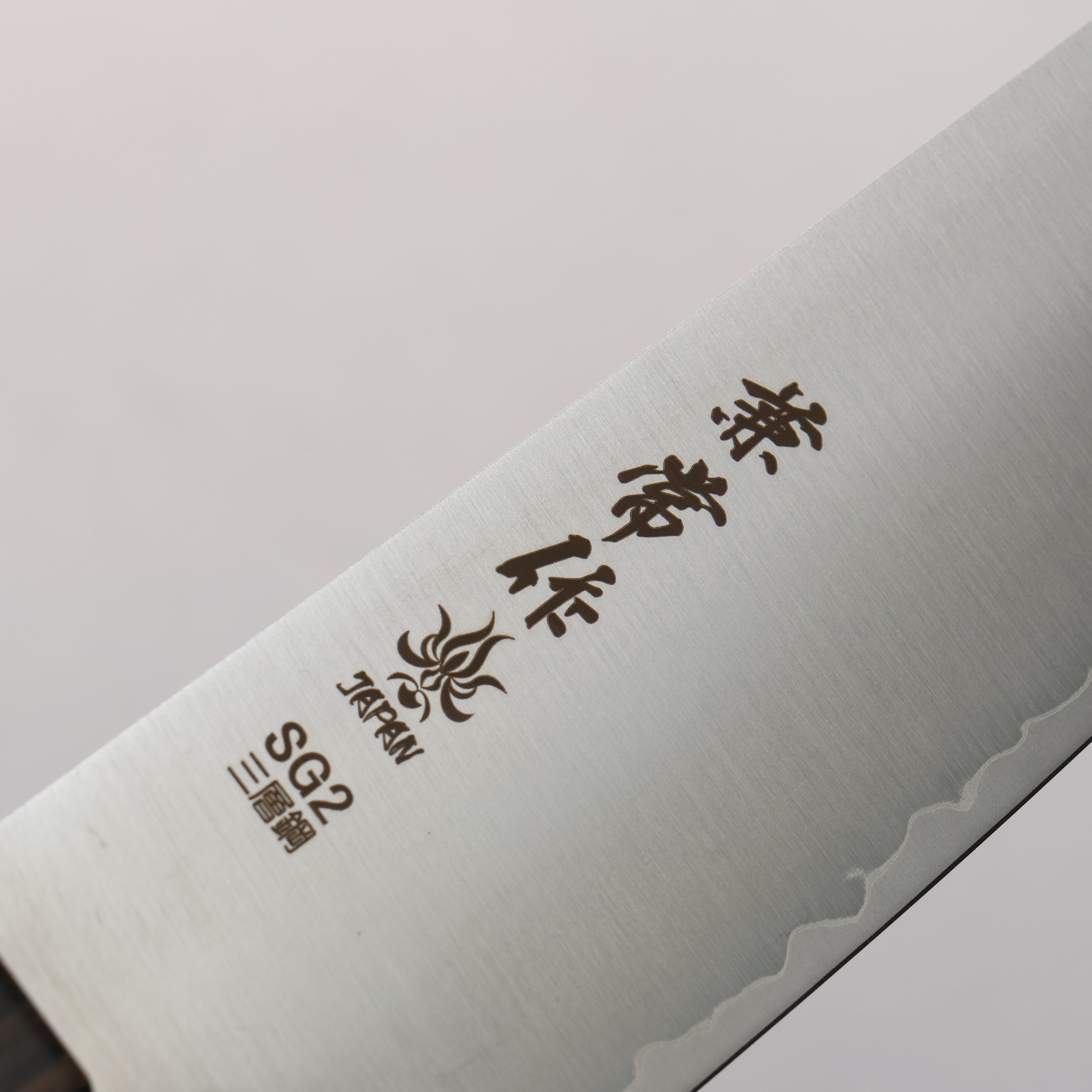 Kanetsune SG2 Gyuto 210mm Gray Pakka wood Handle - Japanny - Best Japanese Knife