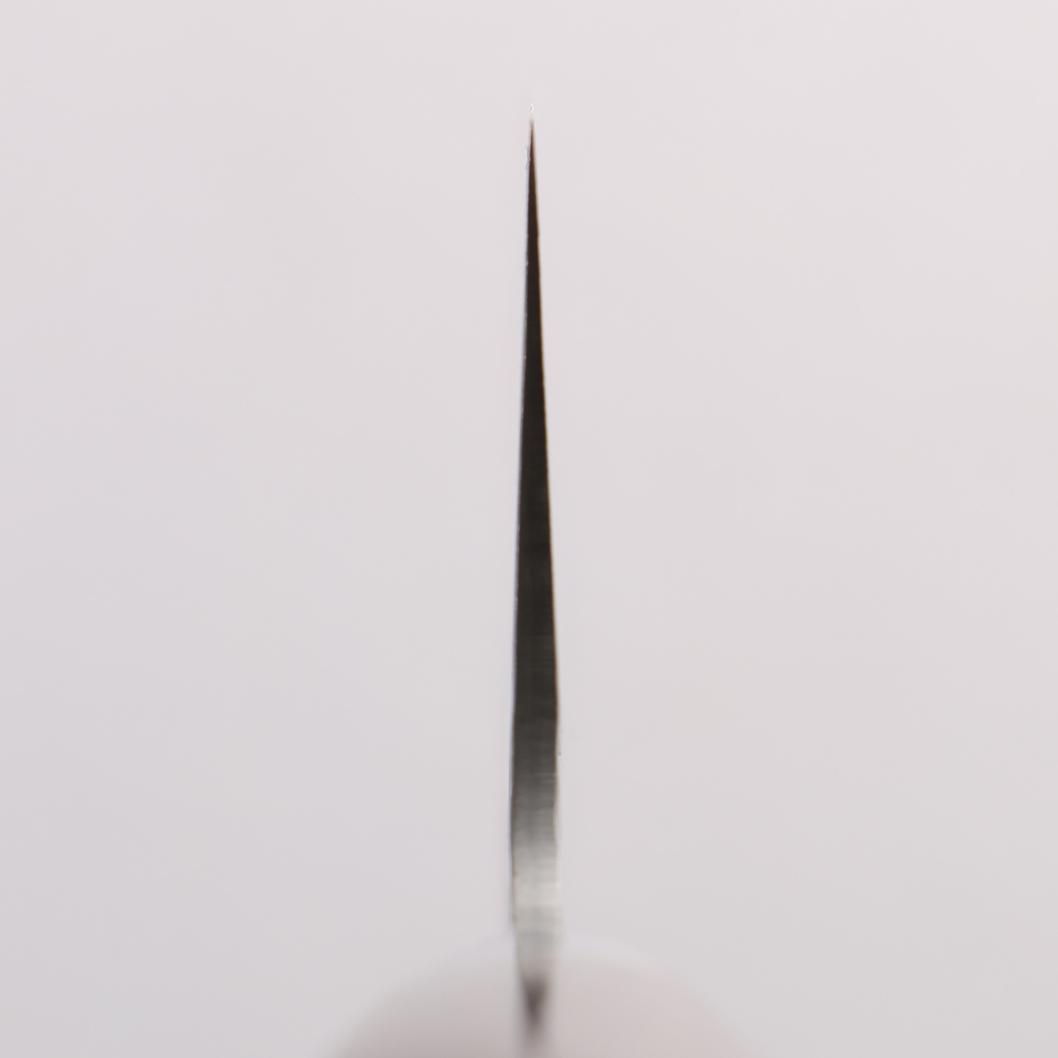 Sakai Takayuki SG2 Hammered Damascus Migaki Finished Gyuto 210mm Rosewood Handle