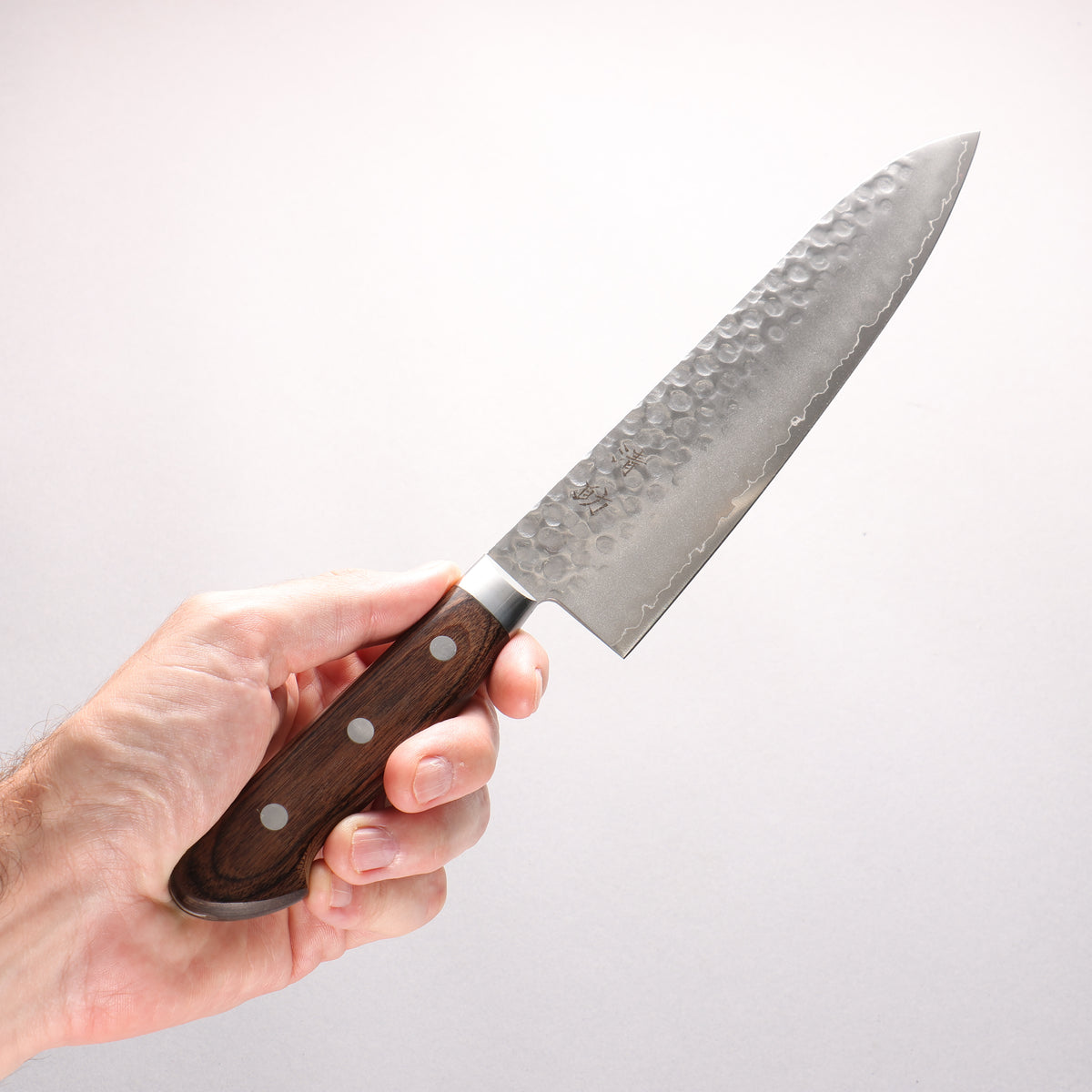 Seisuke VG10 Hammered Gyuto 210mm Zebrawood Handle - Japanny - Best Japanese Knife