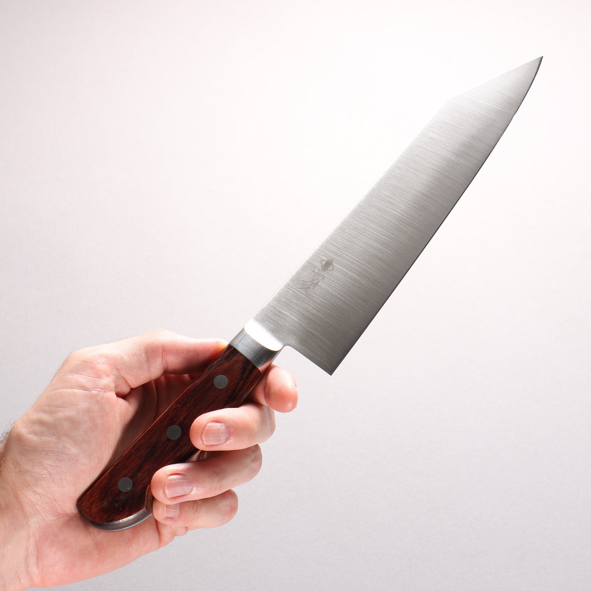 Kanjyo VG10 Kiritsuke Gyuto 210mm Mahogany Pakka wood Handle - Japanny - Best Japanese Knife