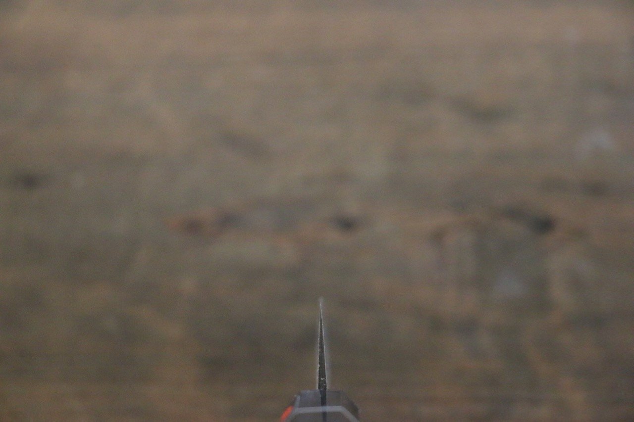 Shigeki Tanaka Habakiri SG2 Damascus Petty-Utility 150mm Ebony Wood Handle - Japanny - Best Japanese Knife