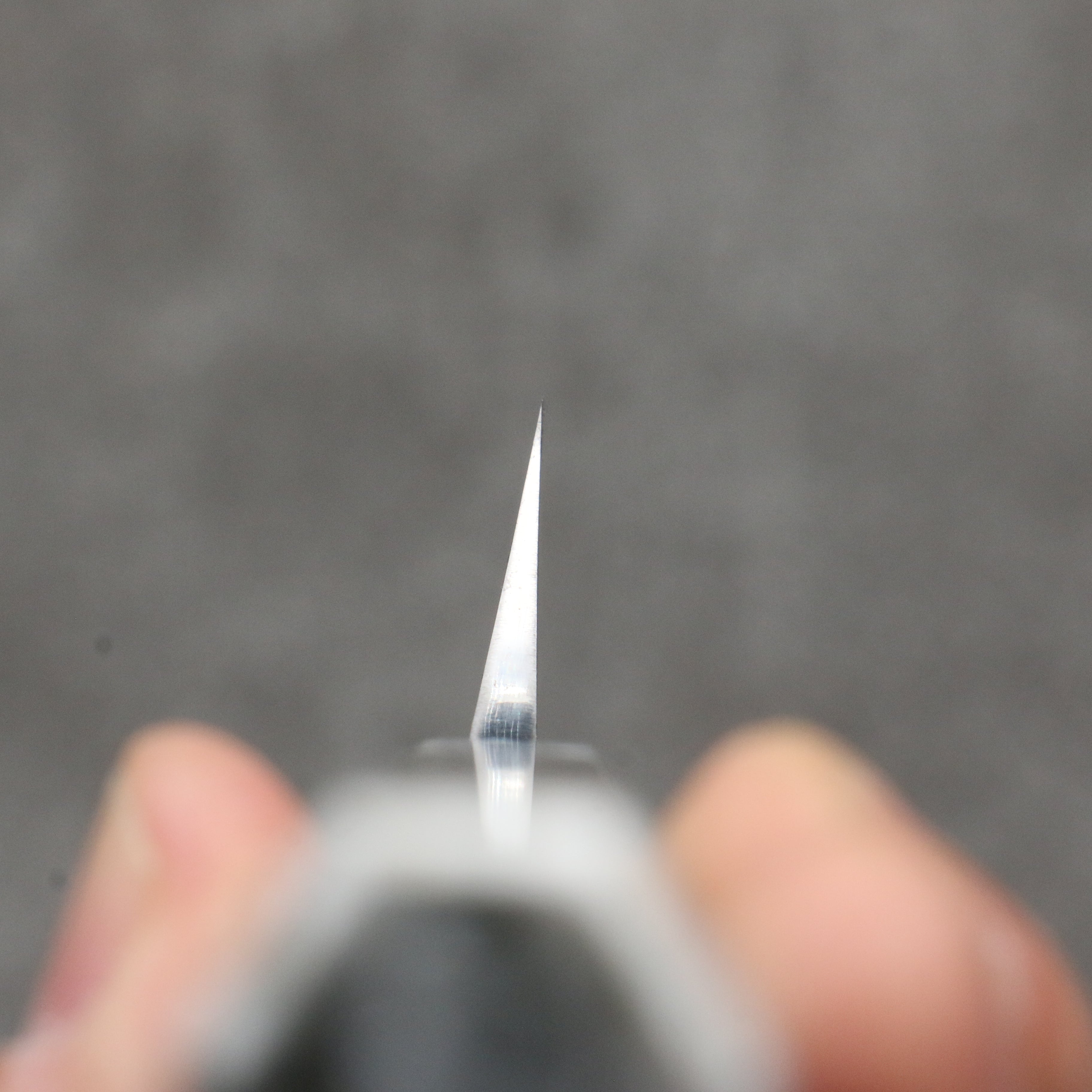 Sakai Takayuki Ginryu Honyaki Swedish Steel Mirrored Finish Sakimaru Yanagiba 300mm Stabilized wood Handle with Sheath - Japanny - Best Japanese Knife